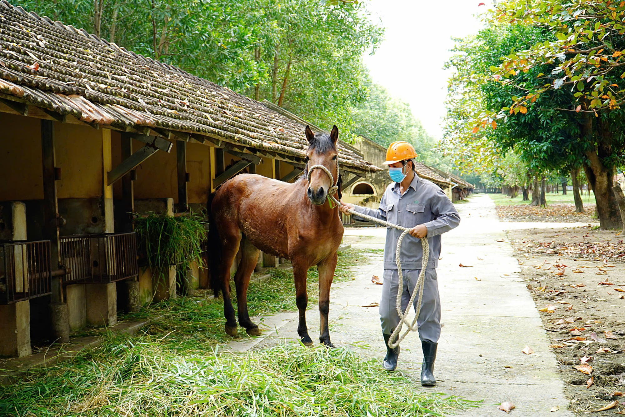 Tin tức đặc biệt tr&ecirc;n b&aacute;o in Thanh Ni&ecirc;n 12.2.2026- Ảnh 2.