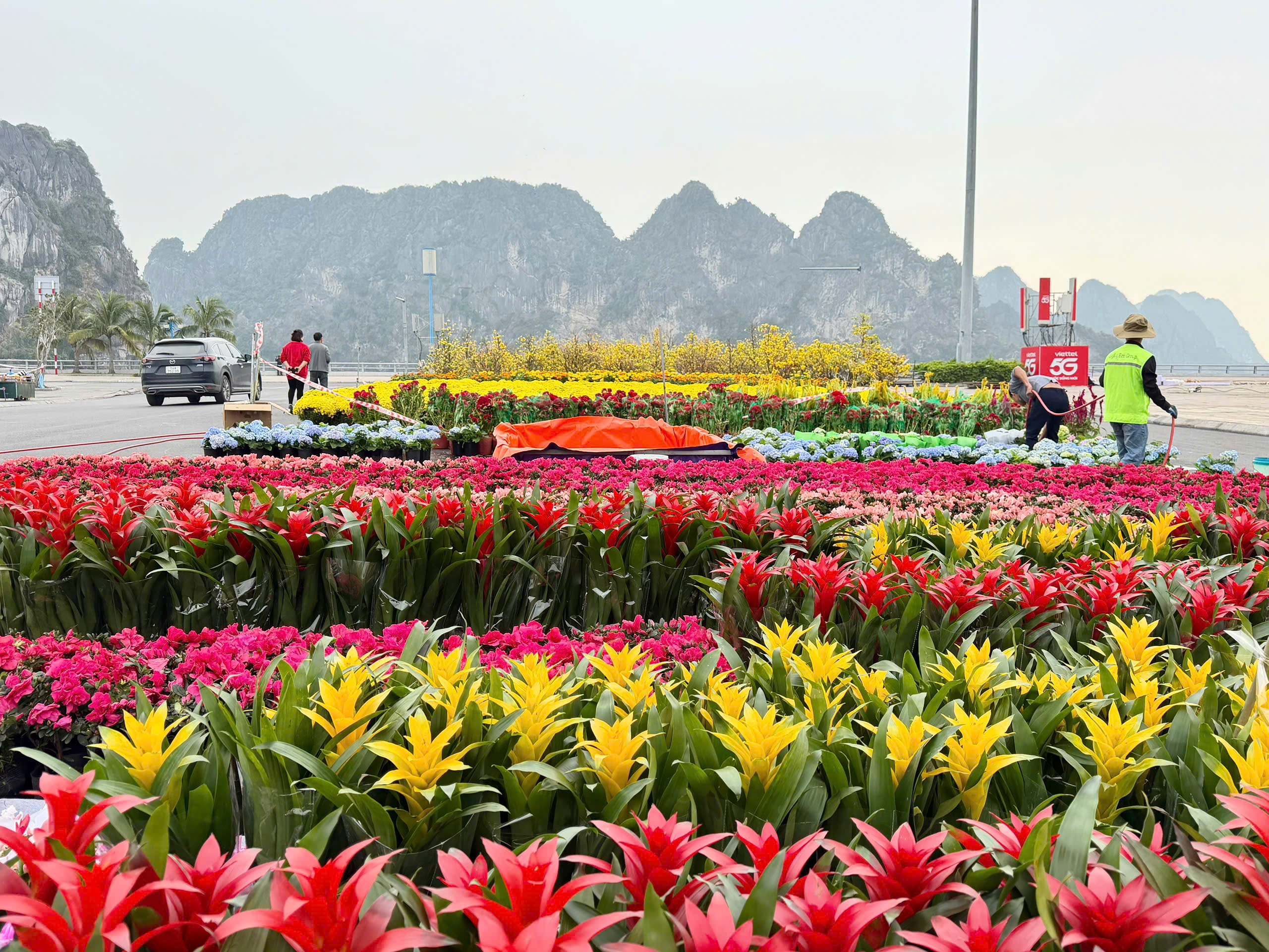 Linh vật B&aacute;t M&atilde; tung v&oacute; b&ecirc;n vịnh Hạ Long đ&oacute;n xu&acirc;n B&iacute;nh Ngọ  - Ảnh 7.