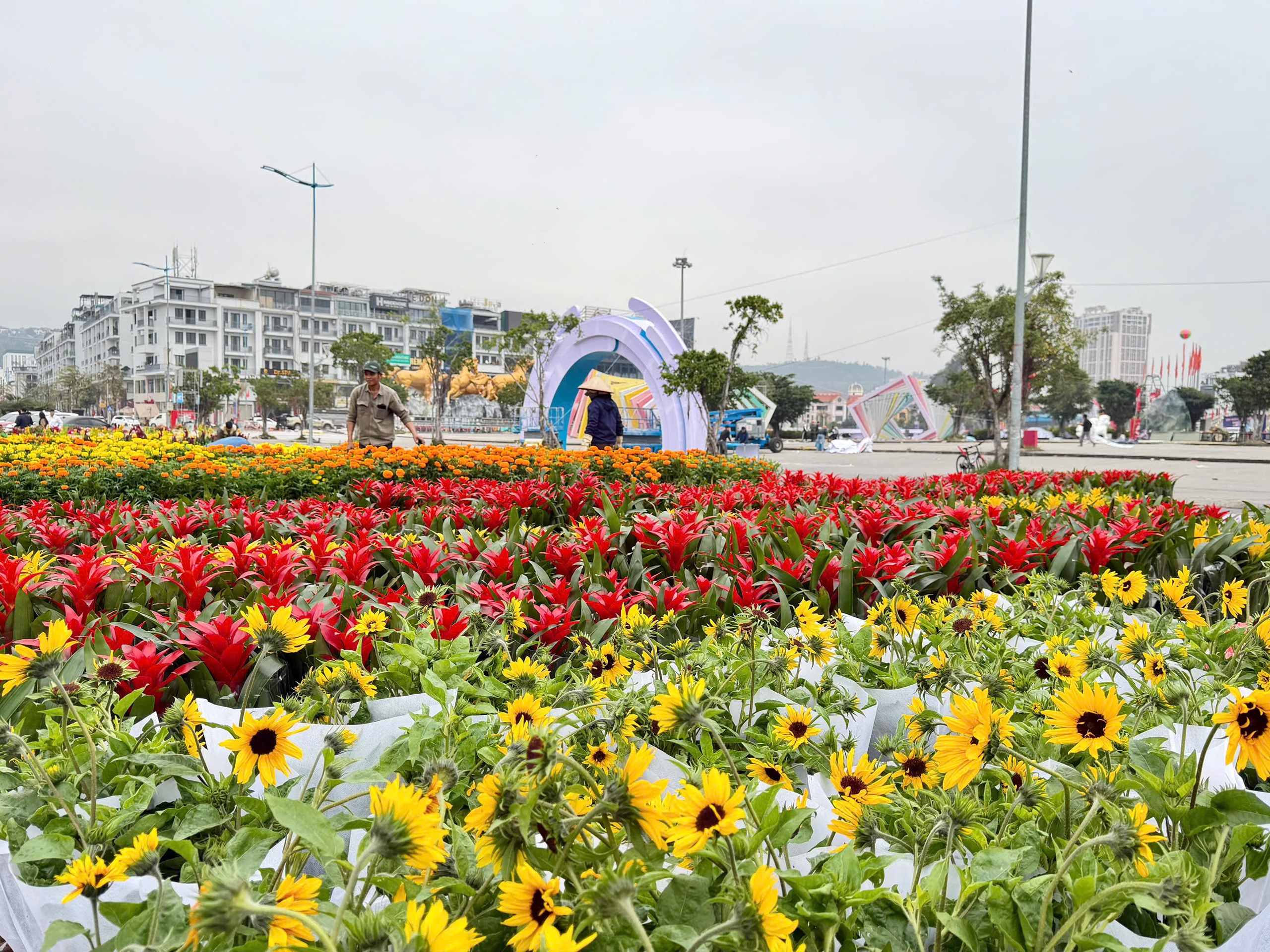 Linh vật B&aacute;t M&atilde; tung v&oacute; b&ecirc;n vịnh Hạ Long đ&oacute;n xu&acirc;n B&iacute;nh Ngọ  - Ảnh 8.