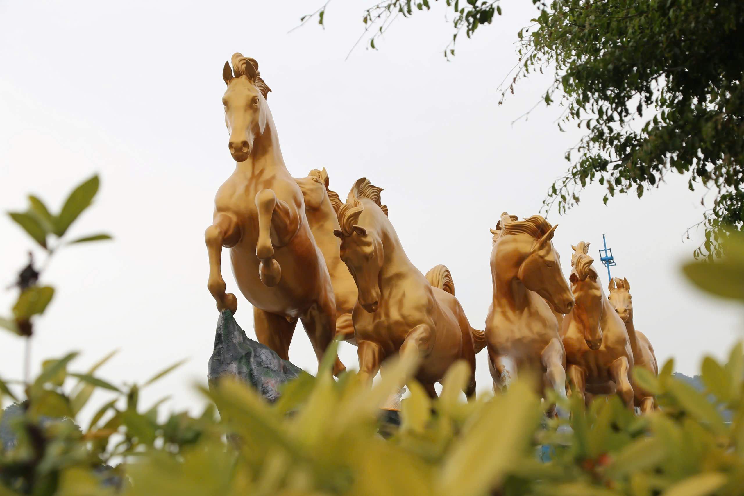 Linh vật B&aacute;t M&atilde; tung v&oacute; b&ecirc;n vịnh Hạ Long đ&oacute;n xu&acirc;n B&iacute;nh Ngọ  - Ảnh 2.