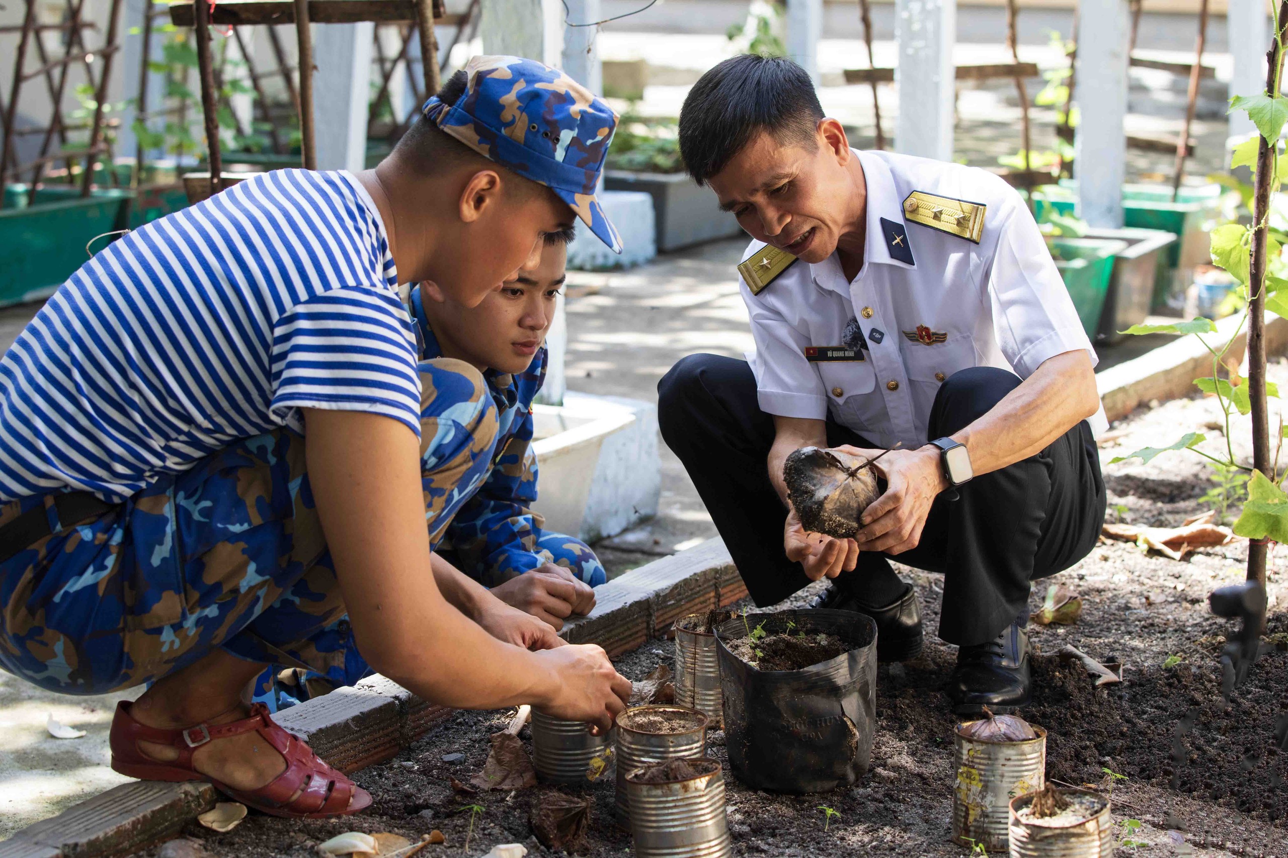 Tết ở Trường Sa - Kỳ 7: Ươm b&agrave;ng vu&ocirc;ng, Sinh Tồn xanh xanh- Ảnh 12.