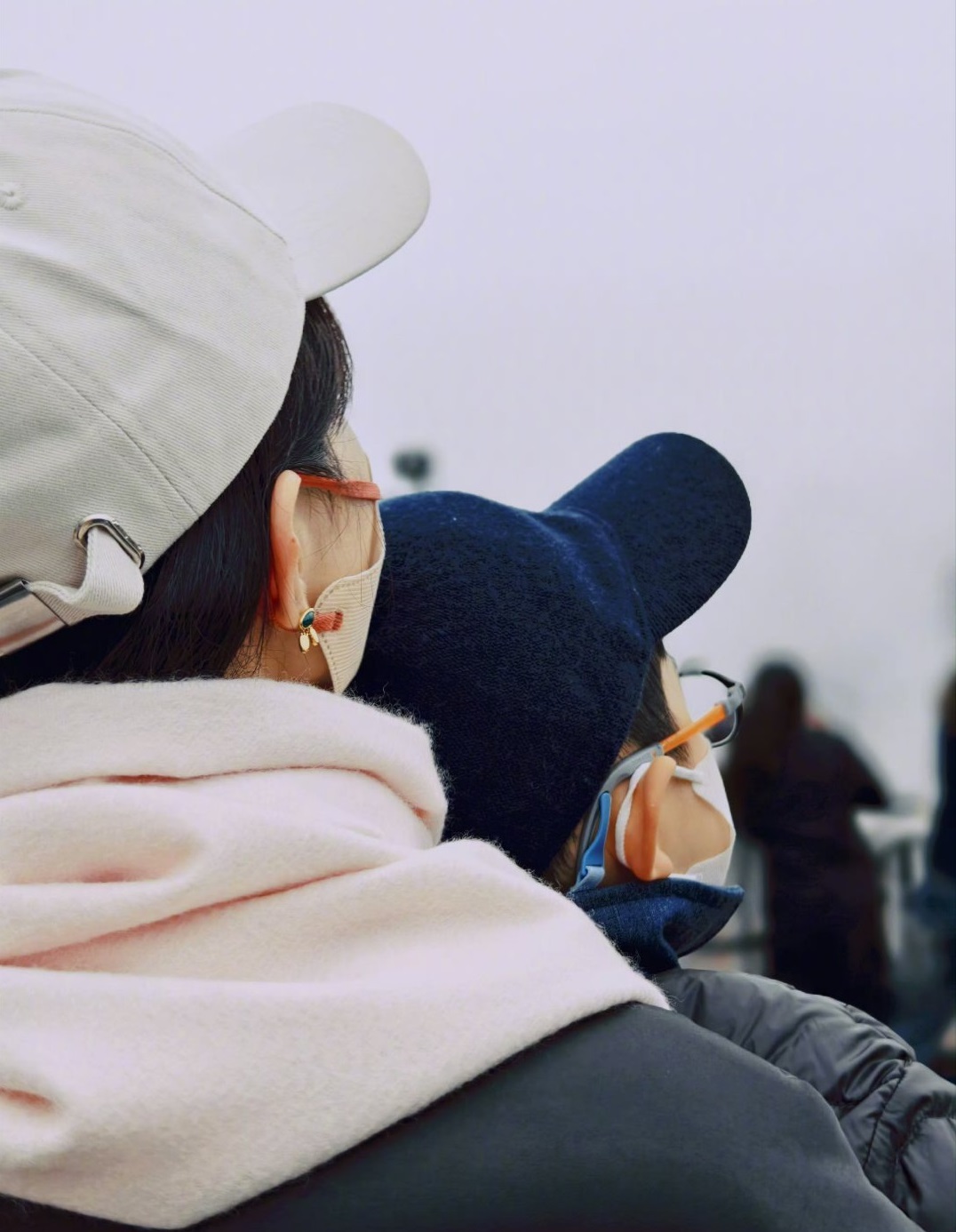 Triệu Lệ Dĩnh bị nghi 'dựa hơi' con trai để đánh bóng tên tuổi? - Ảnh 1.