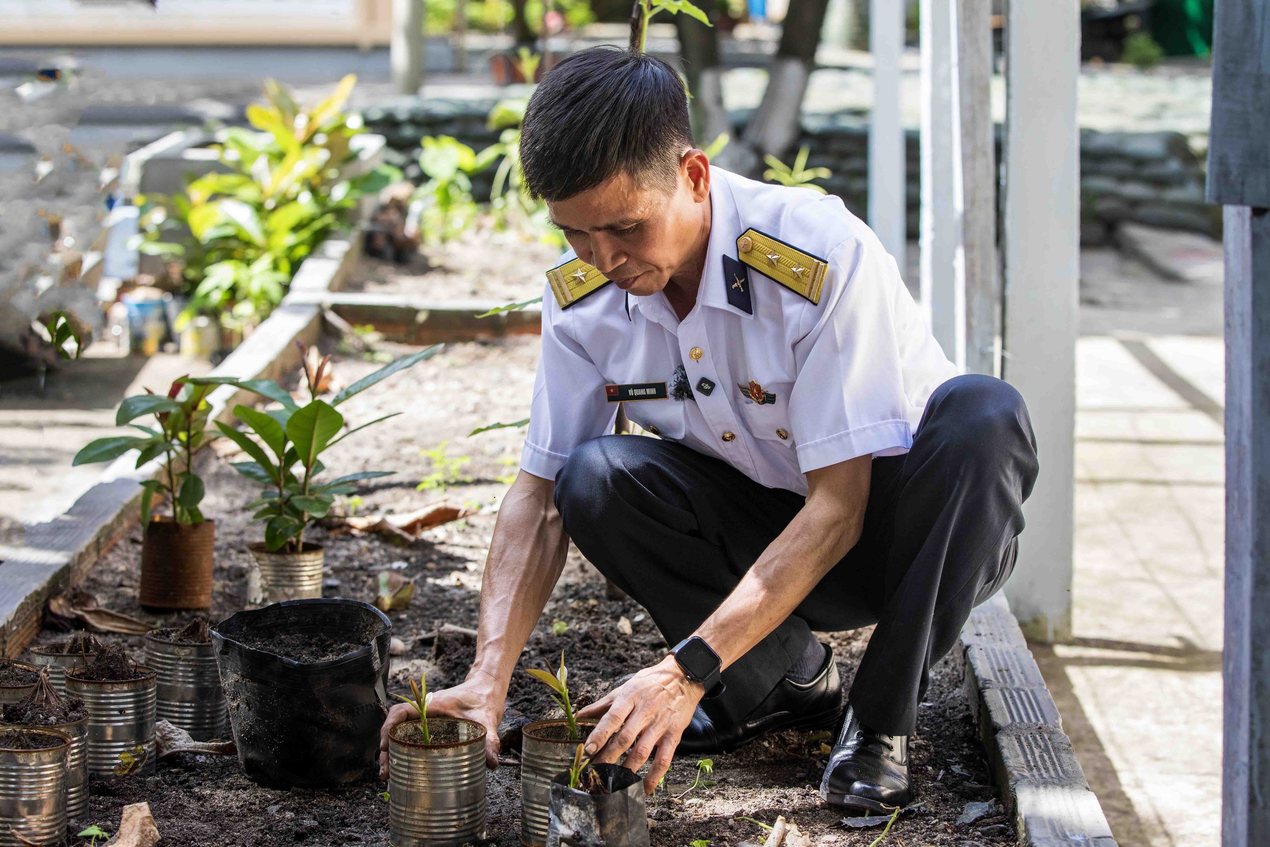 Tết ở Trường Sa - Kỳ 7: Ươm b&agrave;ng vu&ocirc;ng, Sinh Tồn xanh xanh- Ảnh 9.