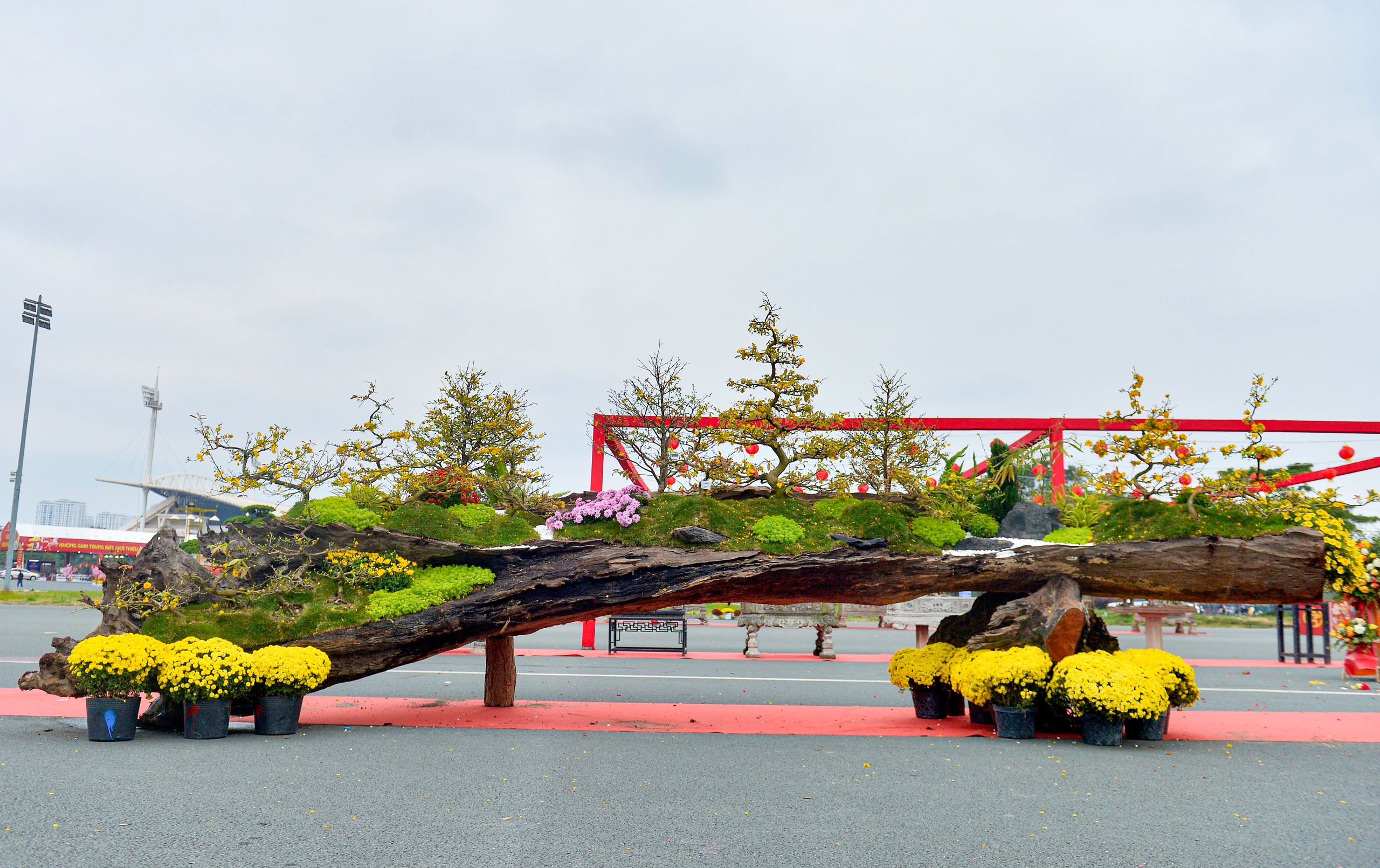 T&aacute;c phẩm mai v&agrave;ng rao b&aacute;n gần 800 triệu ở H&agrave; Nội c&oacute; g&igrave; đặc biệt?- Ảnh 1.