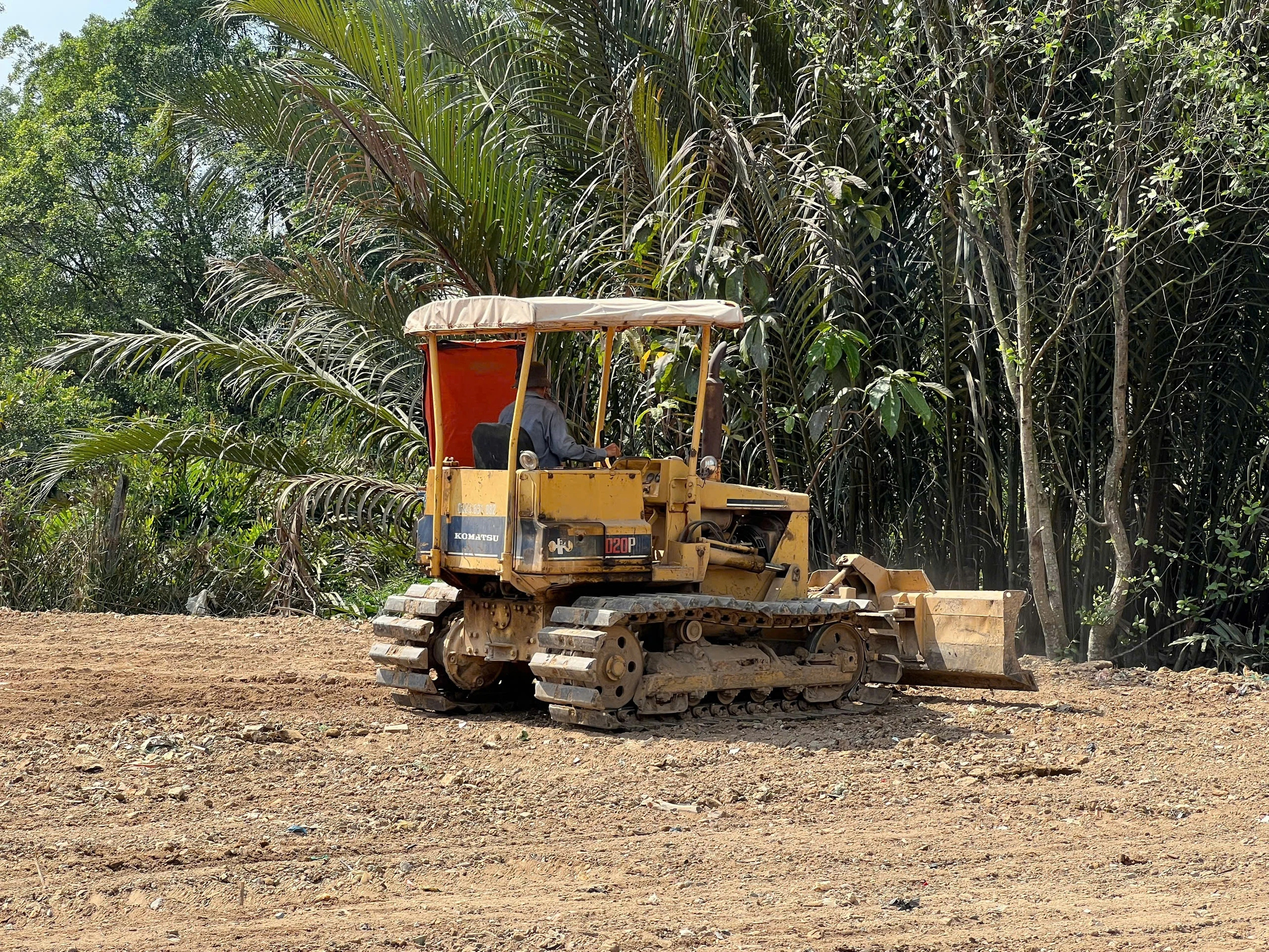 San lấp trái phép 1.800m2 giữa rừng cây ở TP.HCM: Chờ chủ đất về xử lý? - Ảnh 3.