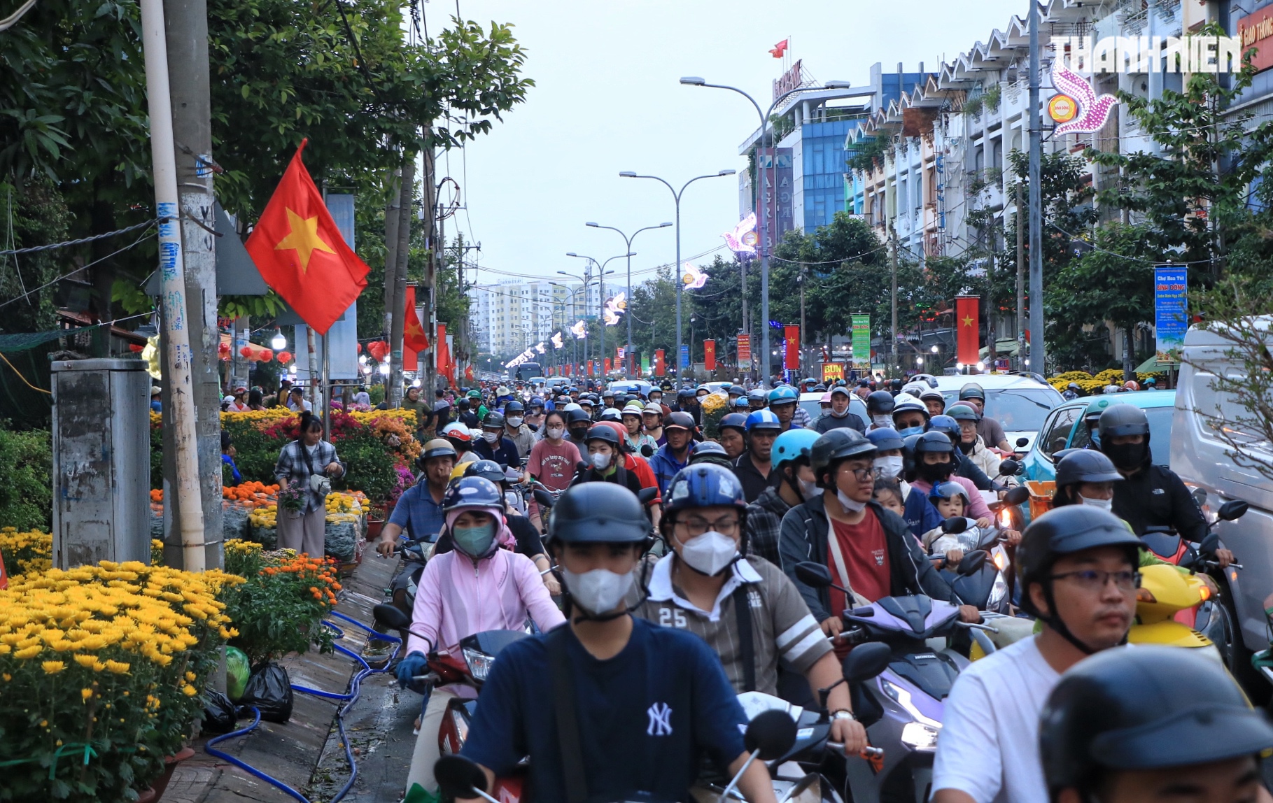 Bất ngờ hoa tết ở TP.HCM: Nh&agrave; vườn gặp kh&aacute;ch sộp liền&hellip; l&igrave; x&igrave; ngược lại kh&aacute;ch - Ảnh 3.