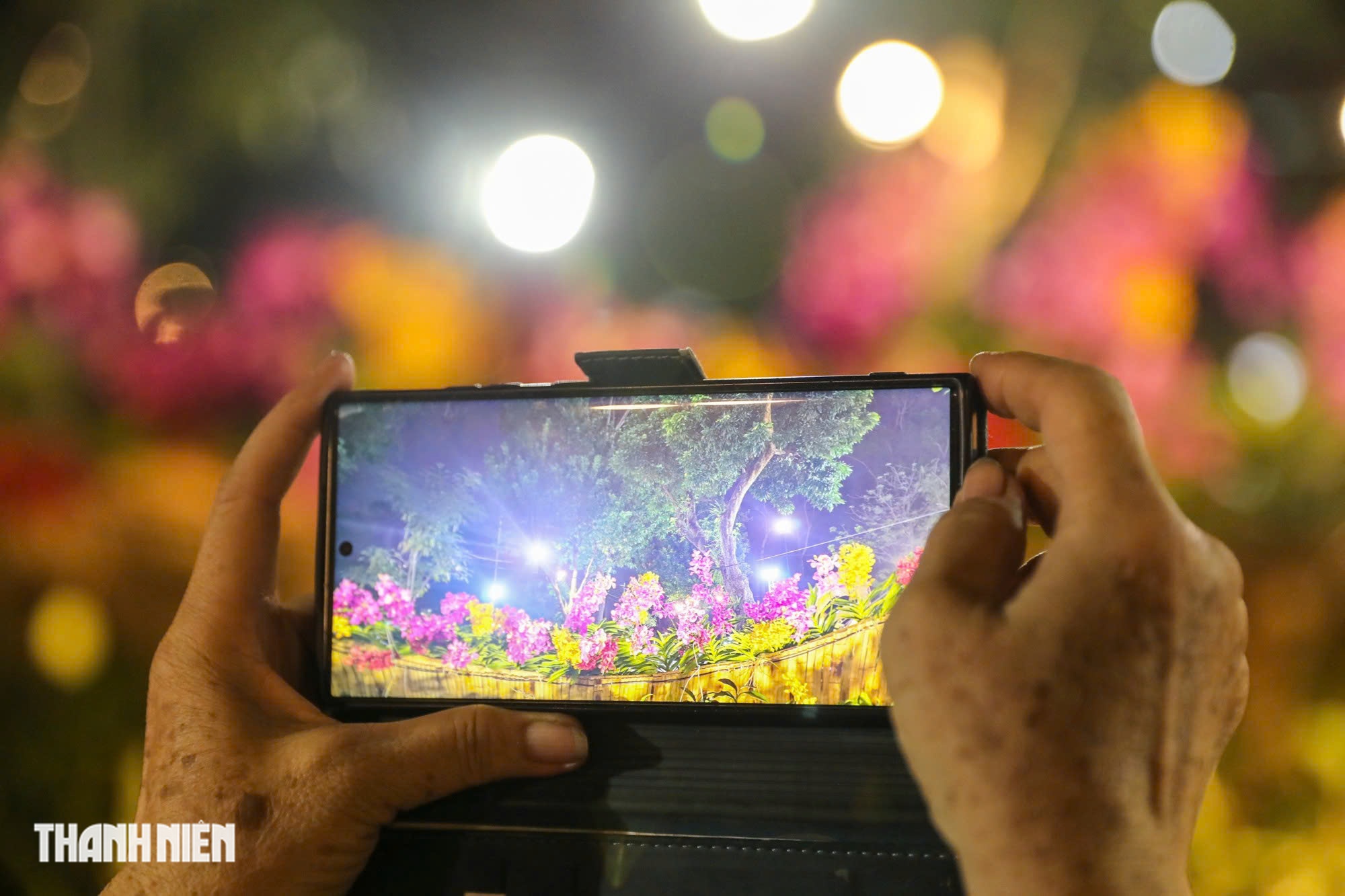 Những ch&uacute; ngựa đua ở L&acirc;m Đồng diễu h&agrave;nh trong đ&ecirc;m khai mạc Hội hoa xu&acirc;n TP.HCM - Ảnh 10.