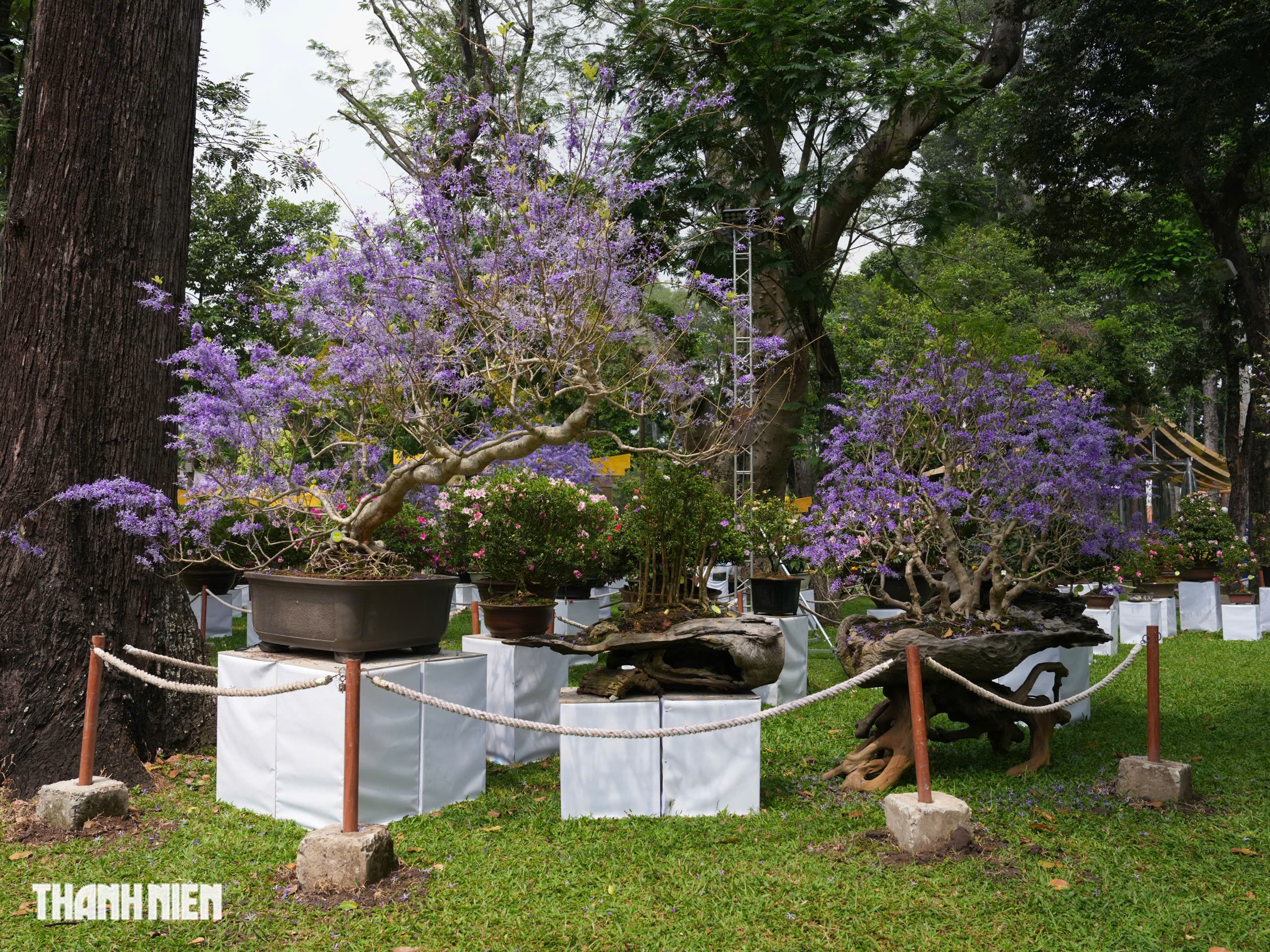 To&agrave;n cảnh Hội hoa xu&acirc;n ở trung t&acirc;m TP.HCM trước giờ khai mạc: B&ecirc;n trong c&oacute; g&igrave;?  - Ảnh 15.