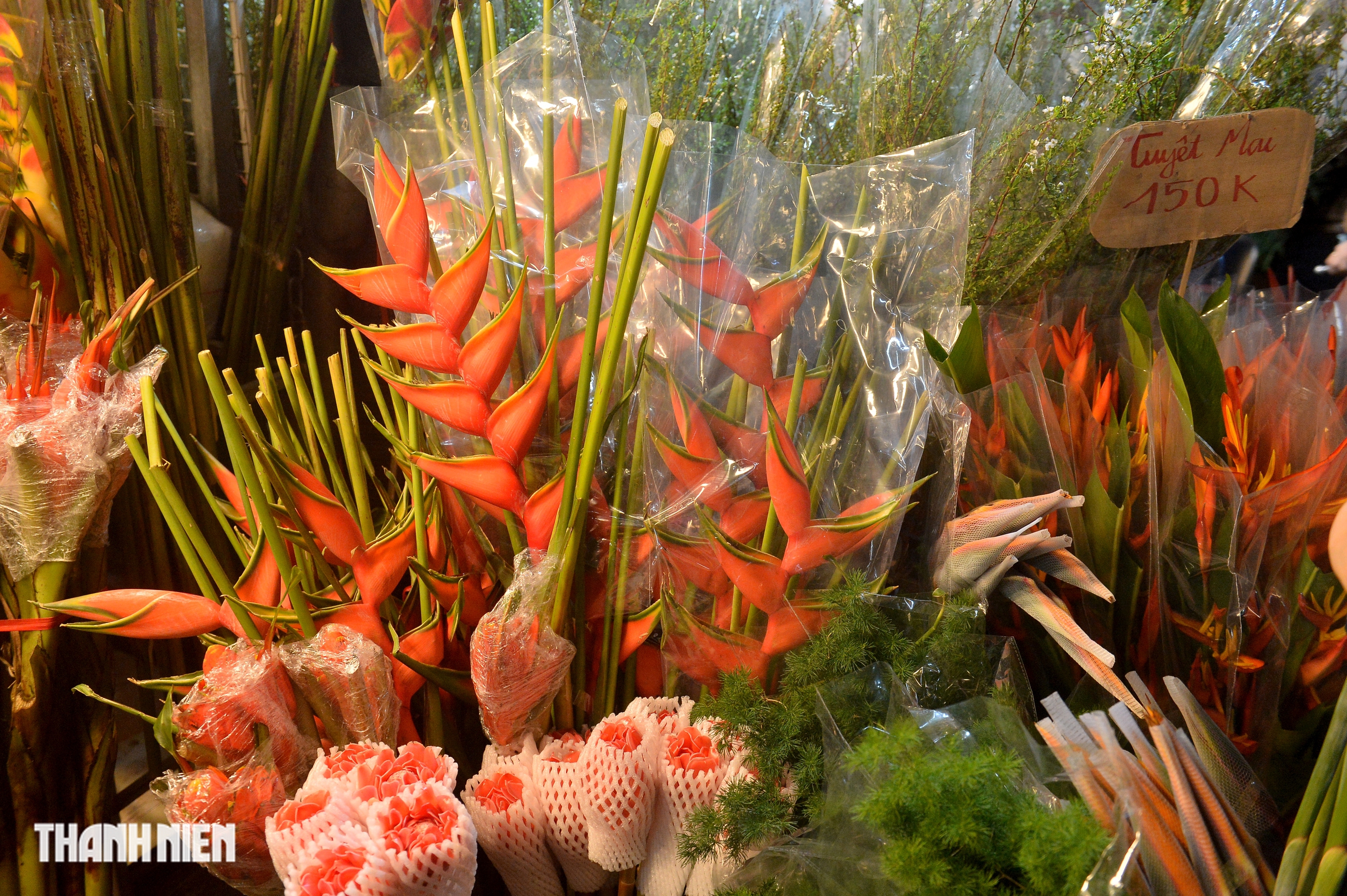 Hoa tươi tăng gi&aacute; gấp đ&ocirc;i, người d&acirc;n vẫn chen nhau mua tại chợ hoa lớn nhất H&agrave; Nội- Ảnh 3.