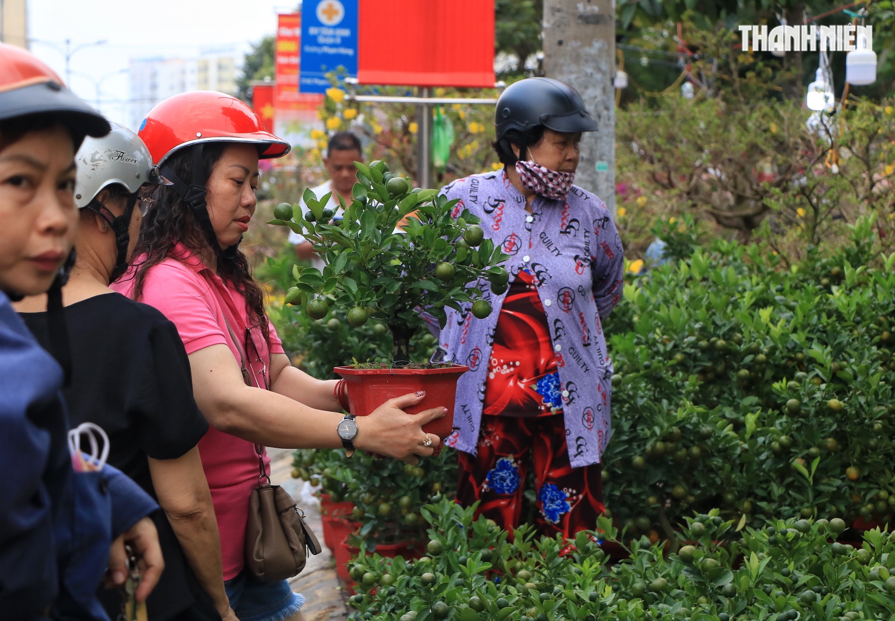 Bất ngờ hoa tết ở TP.HCM: Nh&agrave; vườn gặp kh&aacute;ch sộp liền&hellip; l&igrave; x&igrave; ngược lại kh&aacute;ch - Ảnh 5.