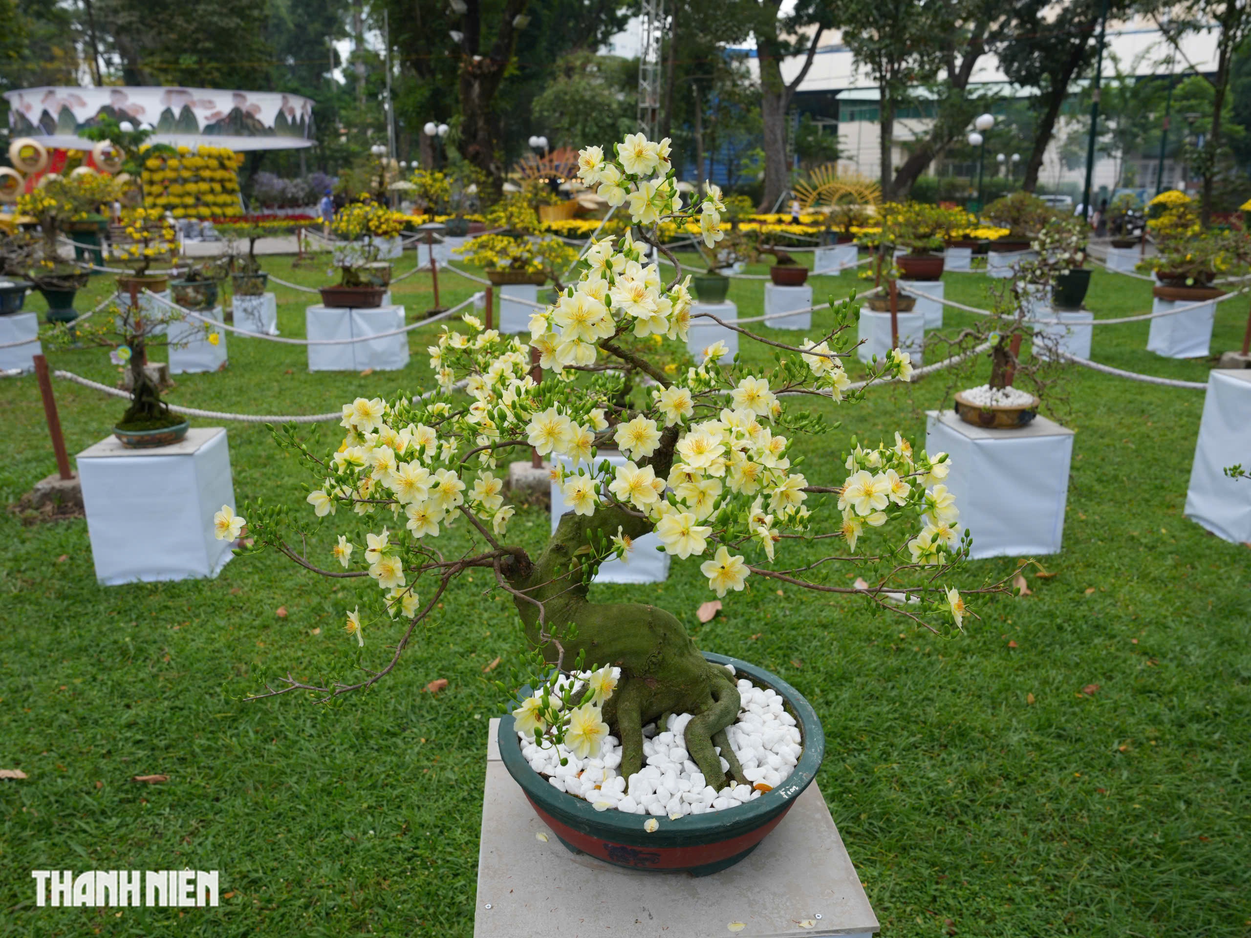 To&agrave;n cảnh Hội hoa xu&acirc;n ở trung t&acirc;m TP.HCM trước giờ khai mạc: B&ecirc;n trong c&oacute; g&igrave;?  - Ảnh 9.