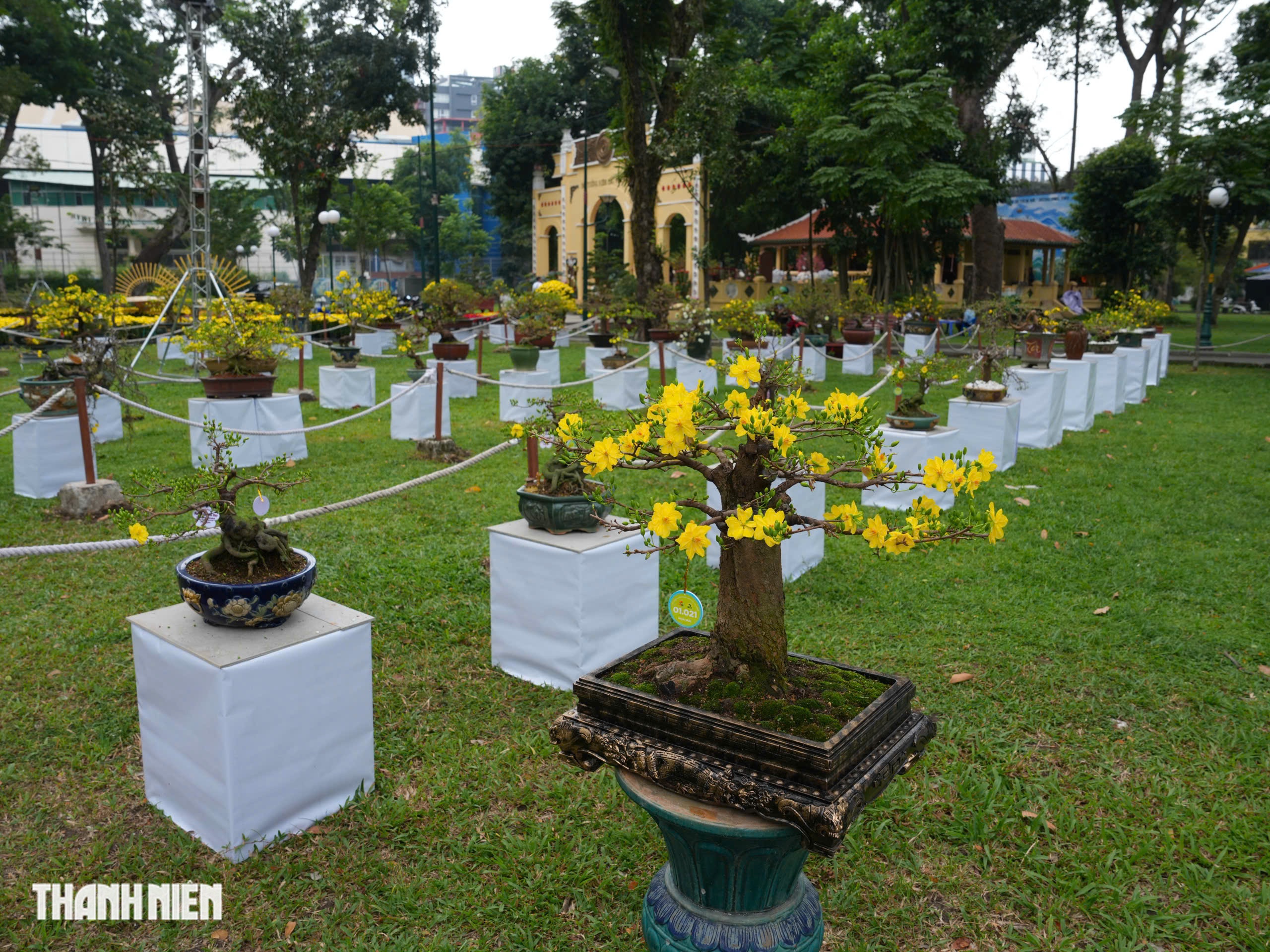 To&agrave;n cảnh Hội hoa xu&acirc;n ở trung t&acirc;m TP.HCM trước giờ khai mạc: B&ecirc;n trong c&oacute; g&igrave;?  - Ảnh 8.