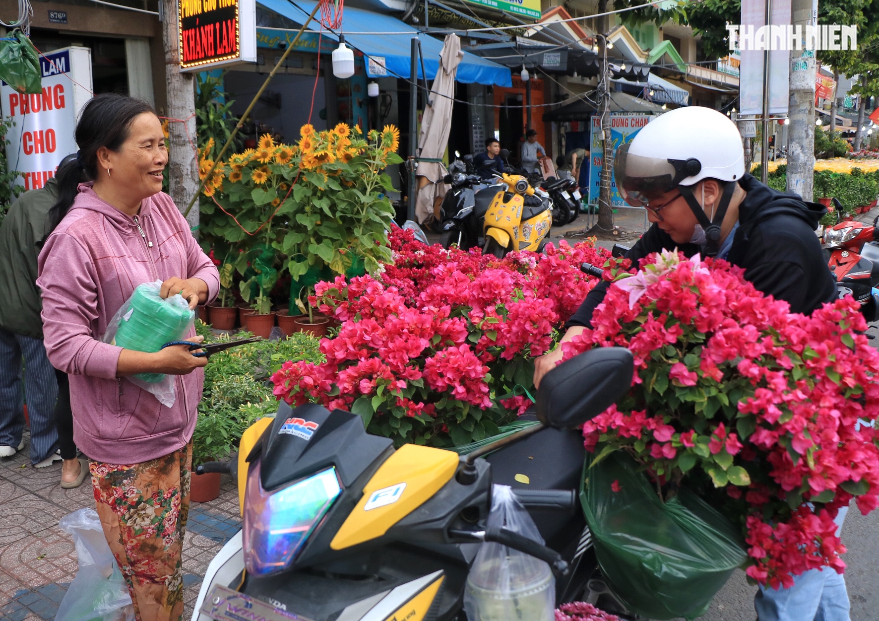 Bất ngờ hoa tết ở TP.HCM: Nh&agrave; vườn gặp kh&aacute;ch sộp liền&hellip; l&igrave; x&igrave; ngược lại kh&aacute;ch - Ảnh 6.