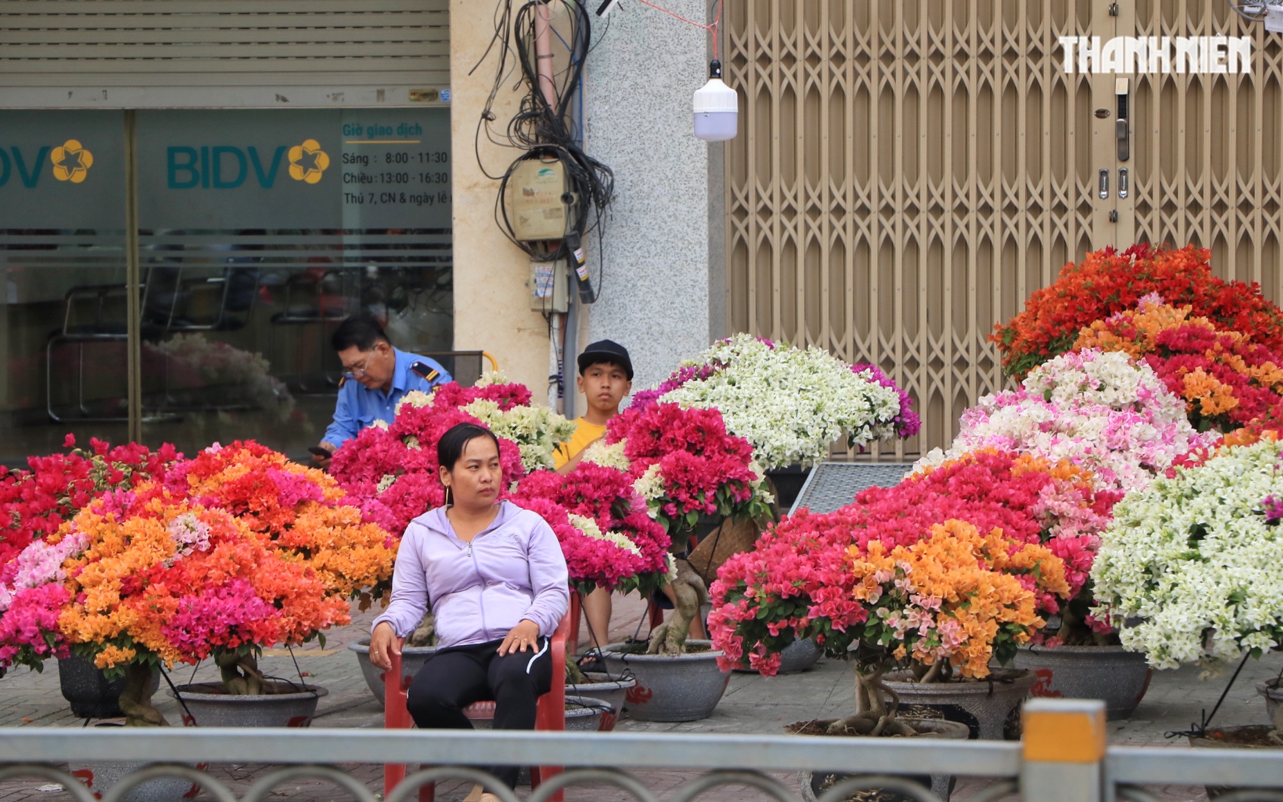 Bất ngờ hoa tết ở TP.HCM: Nh&agrave; vườn gặp kh&aacute;ch sộp liền&hellip; l&igrave; x&igrave; ngược lại kh&aacute;ch - Ảnh 1.