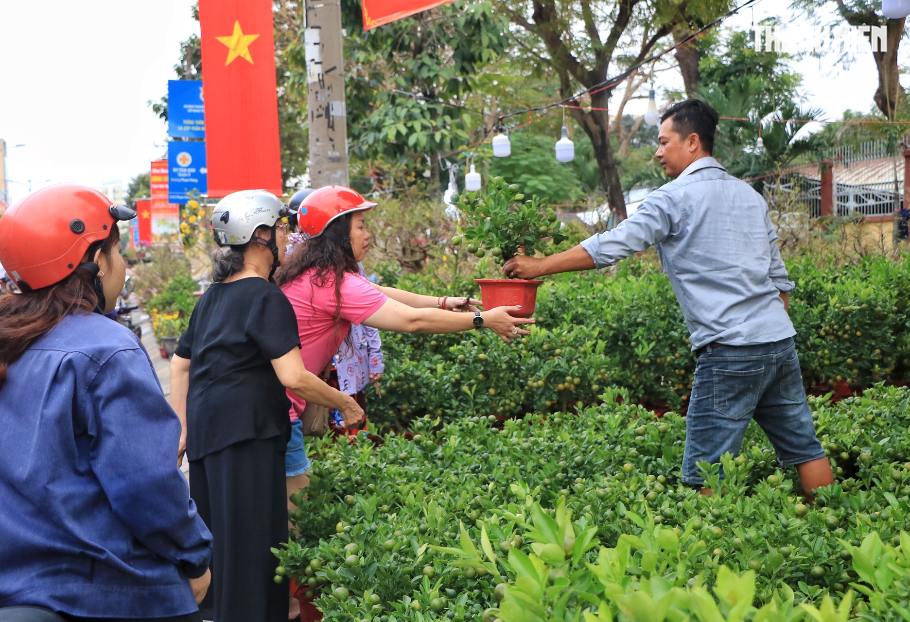 Bất ngờ hoa tết ở TP.HCM: Nh&agrave; vườn gặp kh&aacute;ch sộp liền&hellip; l&igrave; x&igrave; ngược lại kh&aacute;ch - Ảnh 4.