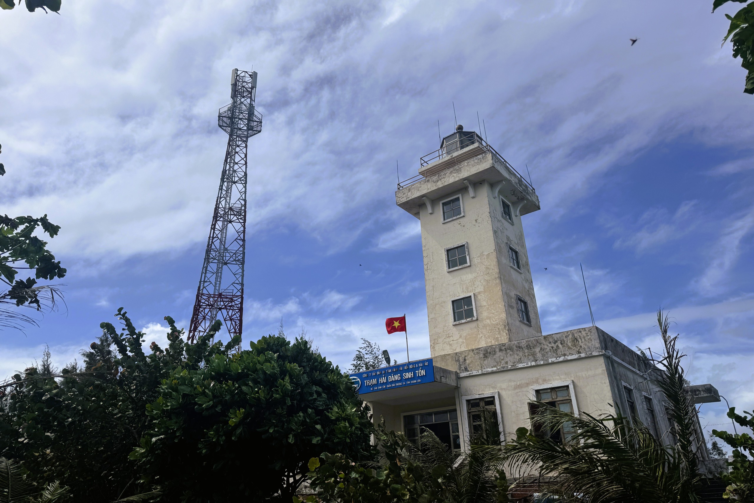 Tết ở Trường Sa - Kỳ 7: Ươm b&agrave;ng vu&ocirc;ng, Sinh Tồn xanh xanh- Ảnh 6.