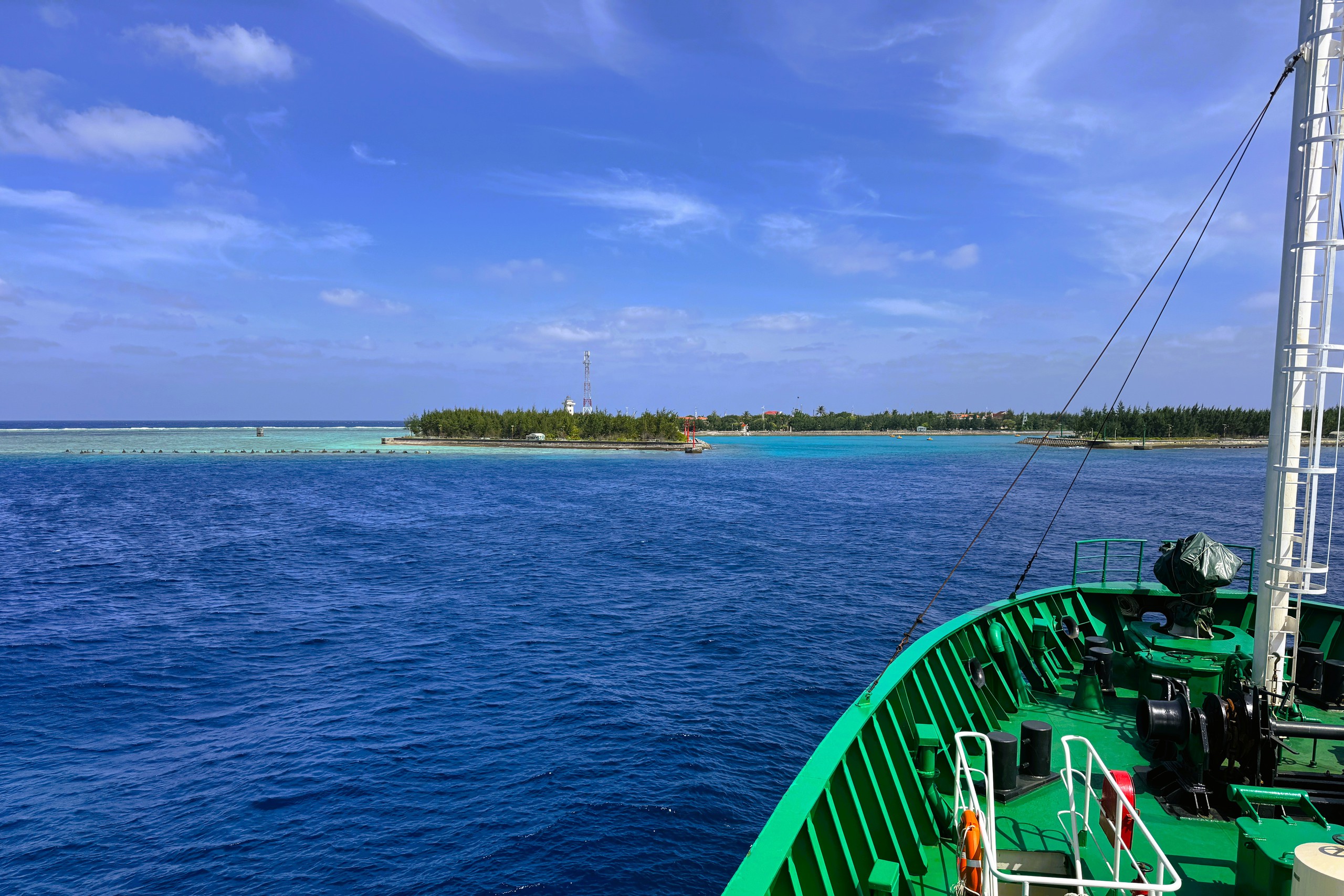 Tết ở Trường Sa - Kỳ 7: Ươm b&agrave;ng vu&ocirc;ng, Sinh Tồn xanh xanh- Ảnh 4.