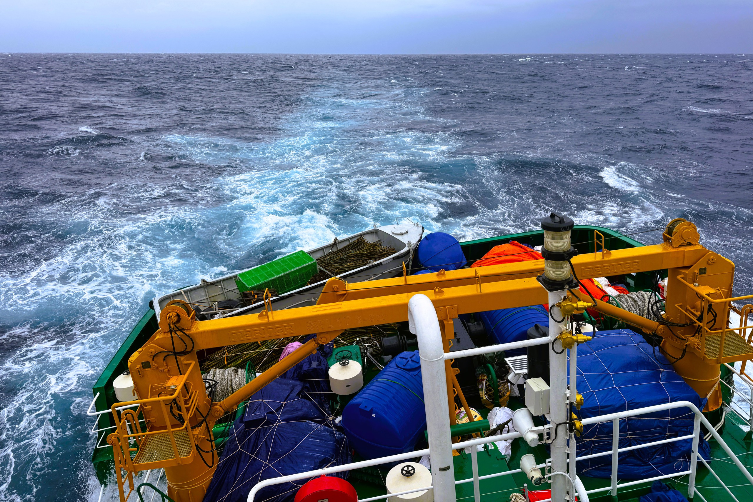 Tết ở Trường Sa - Kỳ 7: Ươm b&agrave;ng vu&ocirc;ng, Sinh Tồn xanh xanh- Ảnh 15.