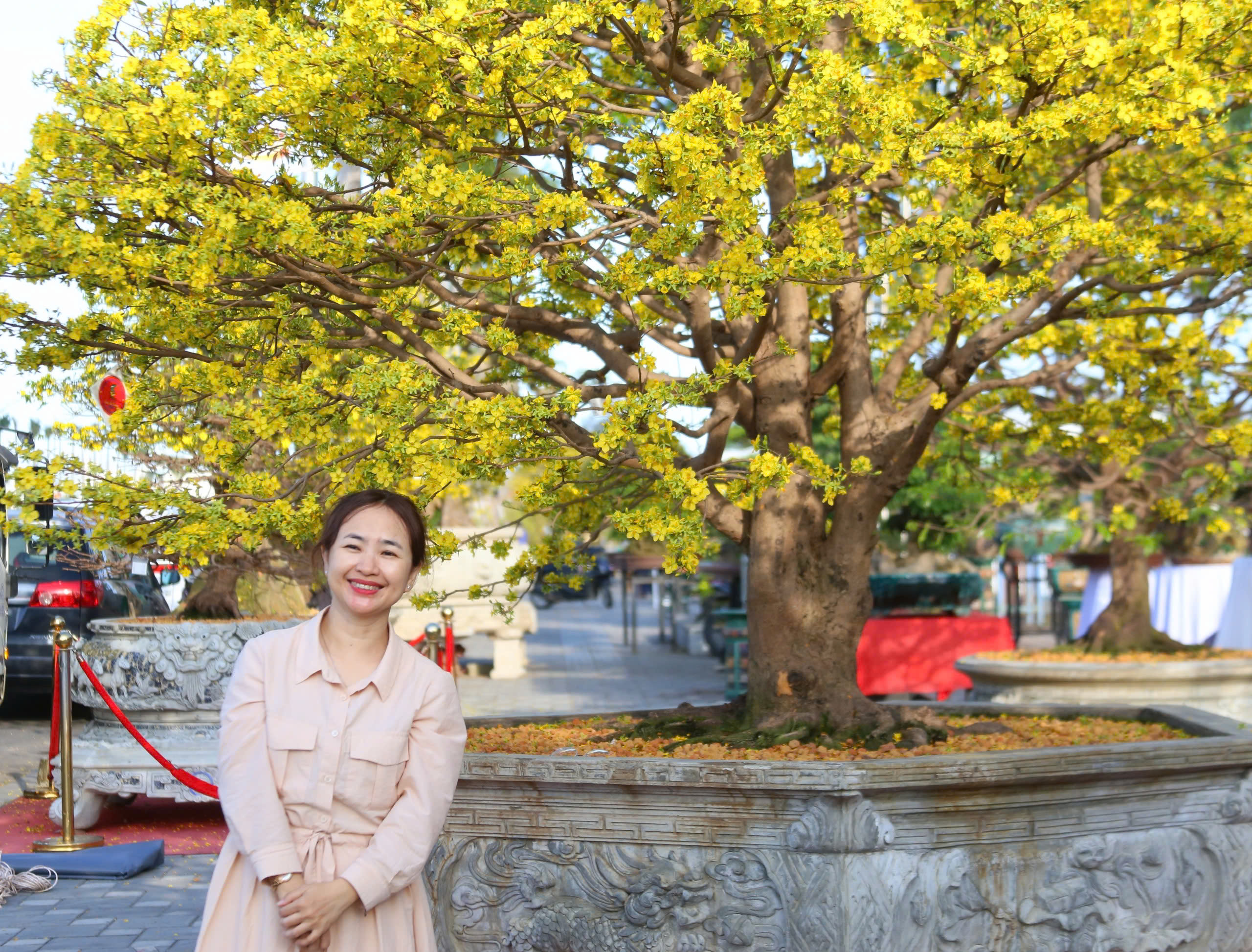 Gốc mai cổ thụ nửa tỉ đồng xuống phố, người mua kẻ b&aacute;n nhộn nhịp xuy&ecirc;n đ&ecirc;m- Ảnh 3.