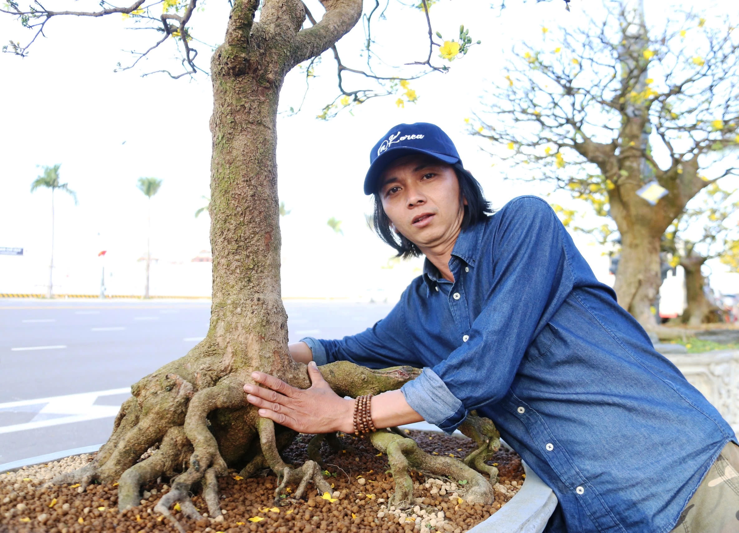 Gốc mai cổ thụ nửa tỉ đồng xuống phố, người mua kẻ b&aacute;n nhộn nhịp xuy&ecirc;n đ&ecirc;m- Ảnh 5.