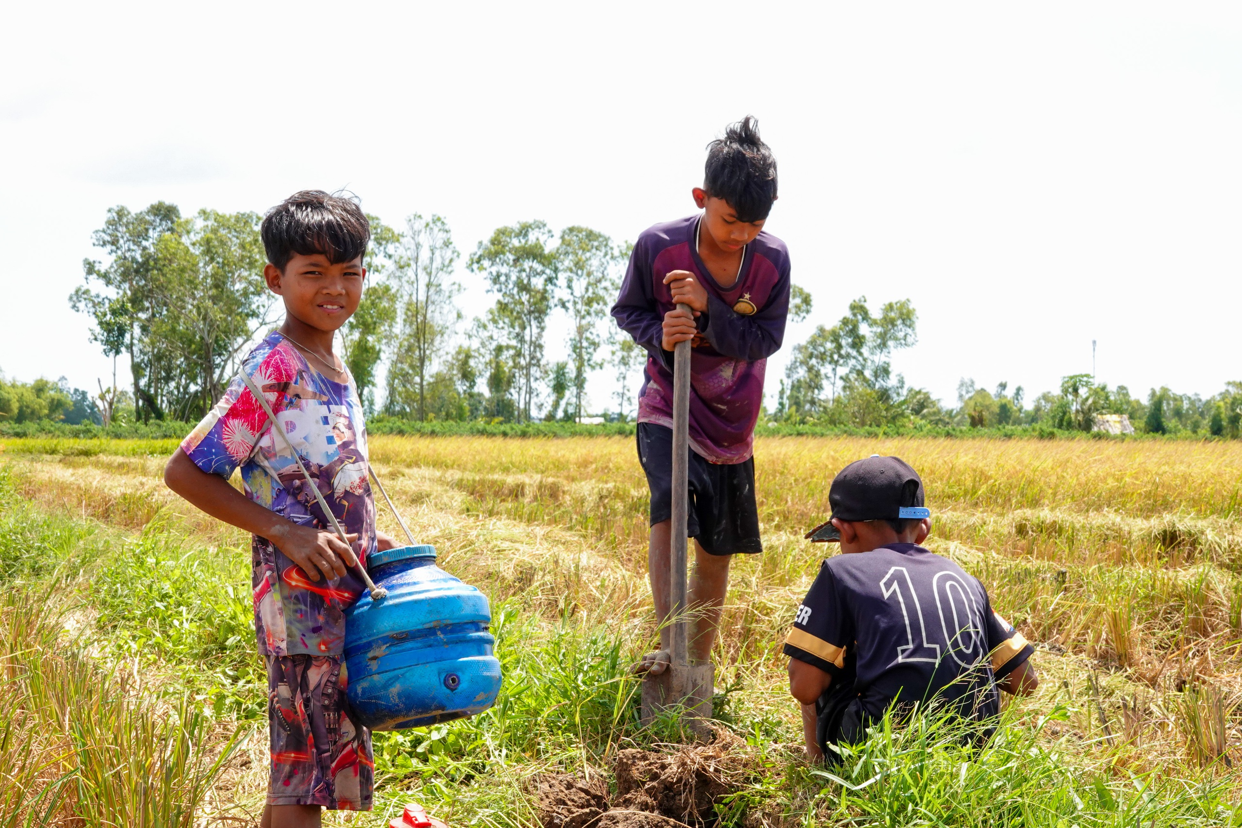 M&ugrave;a v&agrave;ng ST25 v&agrave; những buổi bắt chuột đồng rộn r&agrave;ng của trẻ em miền T&acirc;y - Ảnh 4.