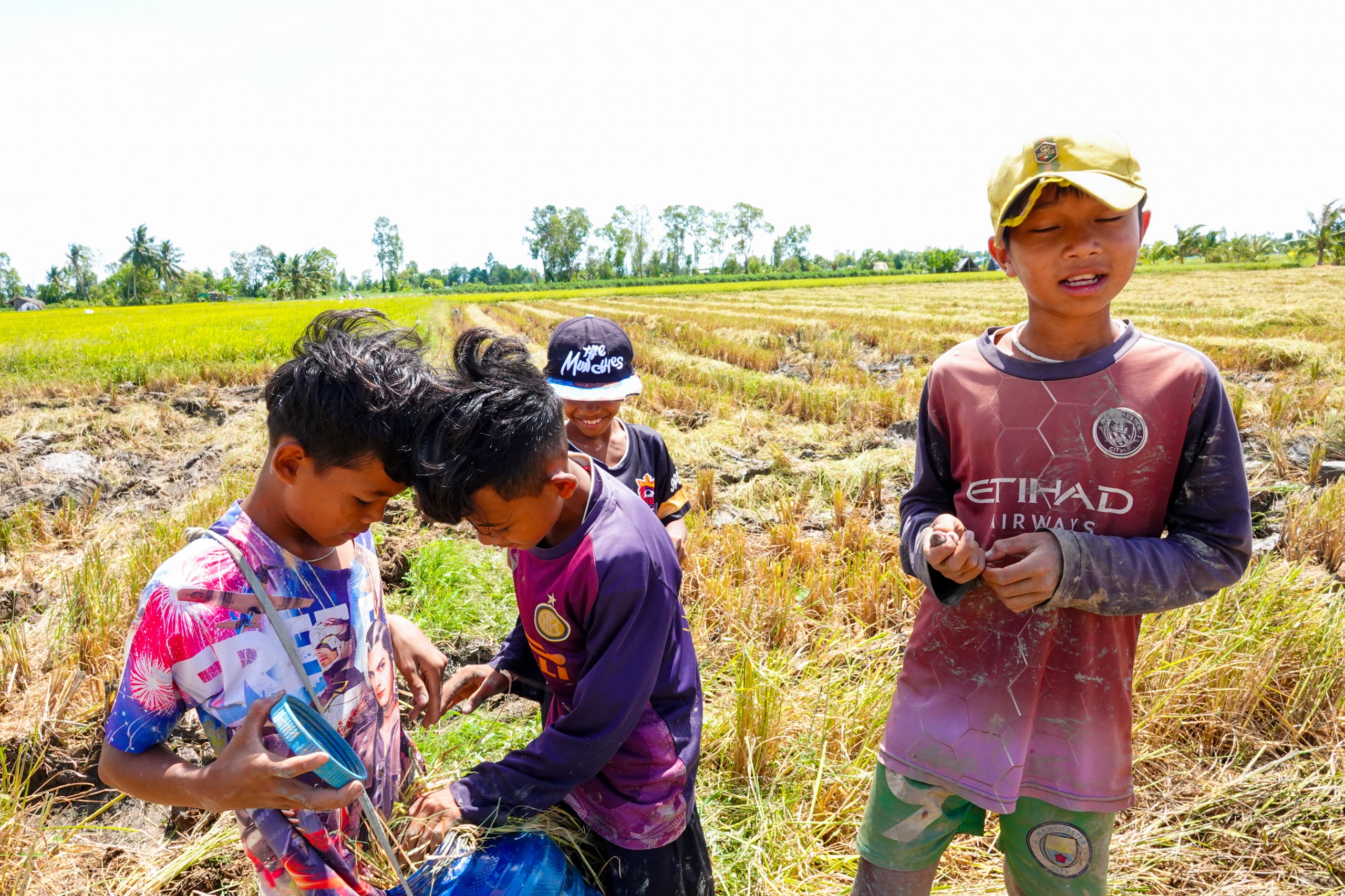 M&ugrave;a v&agrave;ng ST25 v&agrave; những buổi bắt chuột đồng rộn r&agrave;ng của trẻ em miền T&acirc;y - Ảnh 7.