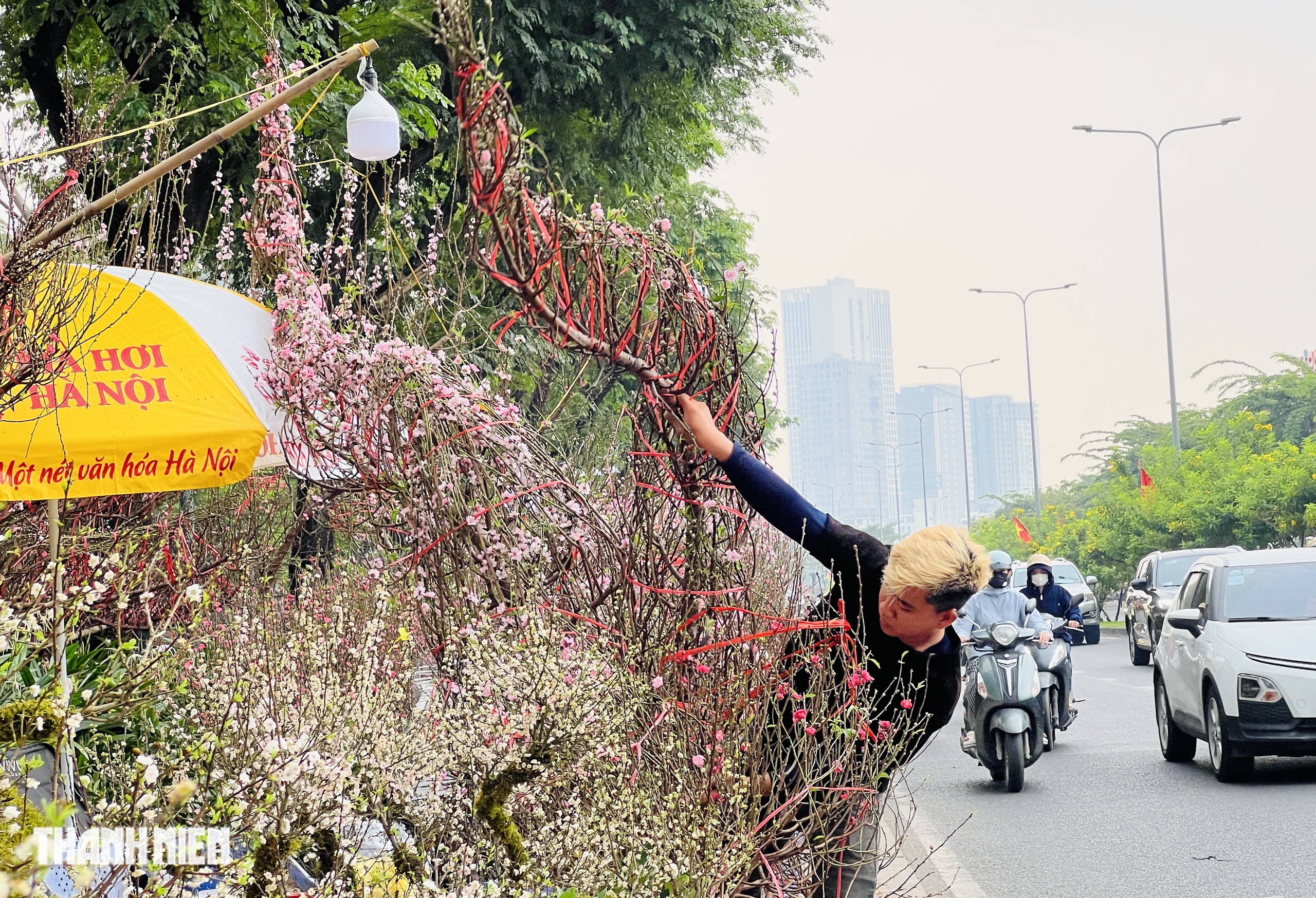 Hoa tết 2026 tr&agrave;n ngập đường phố TP.HCM: Người d&acirc;n th&iacute;ch l&agrave; 'gh&eacute; lựa' - Ảnh 5.