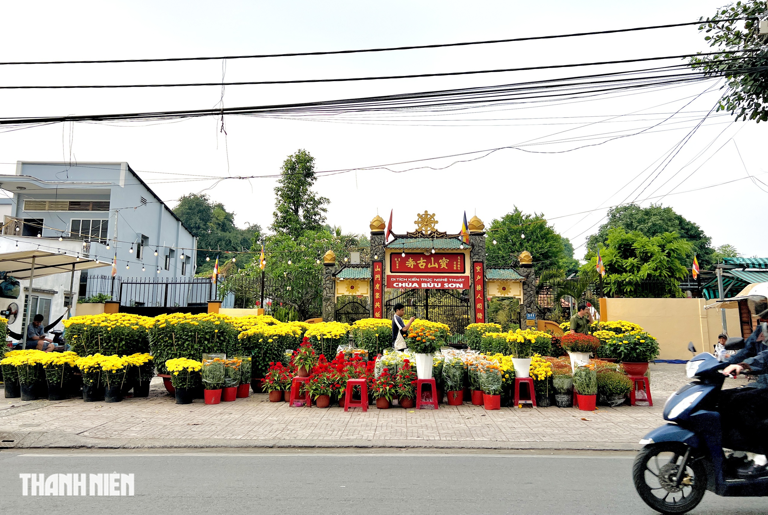 Hoa tết 2026 tr&agrave;n ngập đường phố TP.HCM: Người d&acirc;n th&iacute;ch l&agrave; 'gh&eacute; lựa' - Ảnh 1.