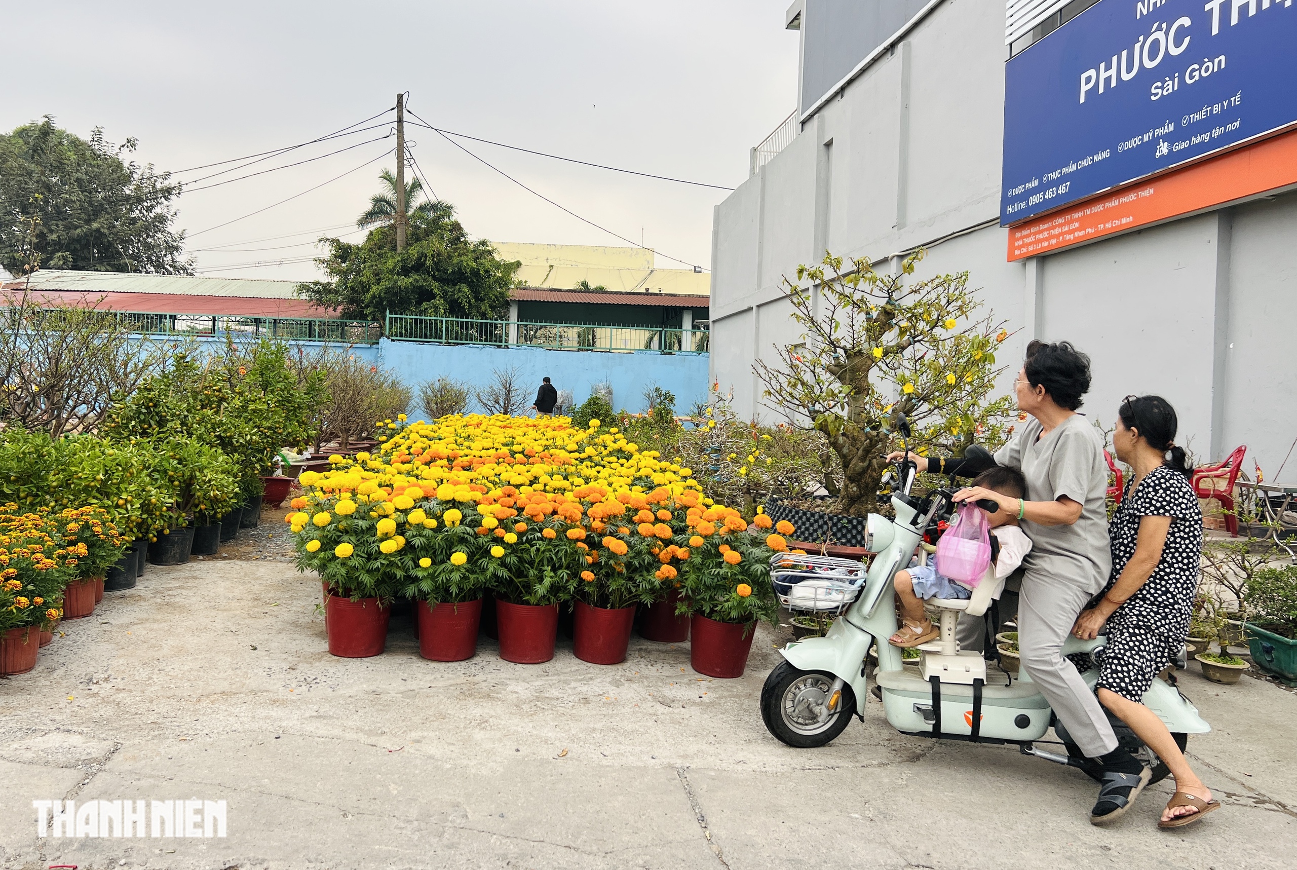 Hoa tết 2026 tr&agrave;n ngập đường phố TP.HCM: Người d&acirc;n th&iacute;ch l&agrave; 'gh&eacute; lựa' - Ảnh 2.