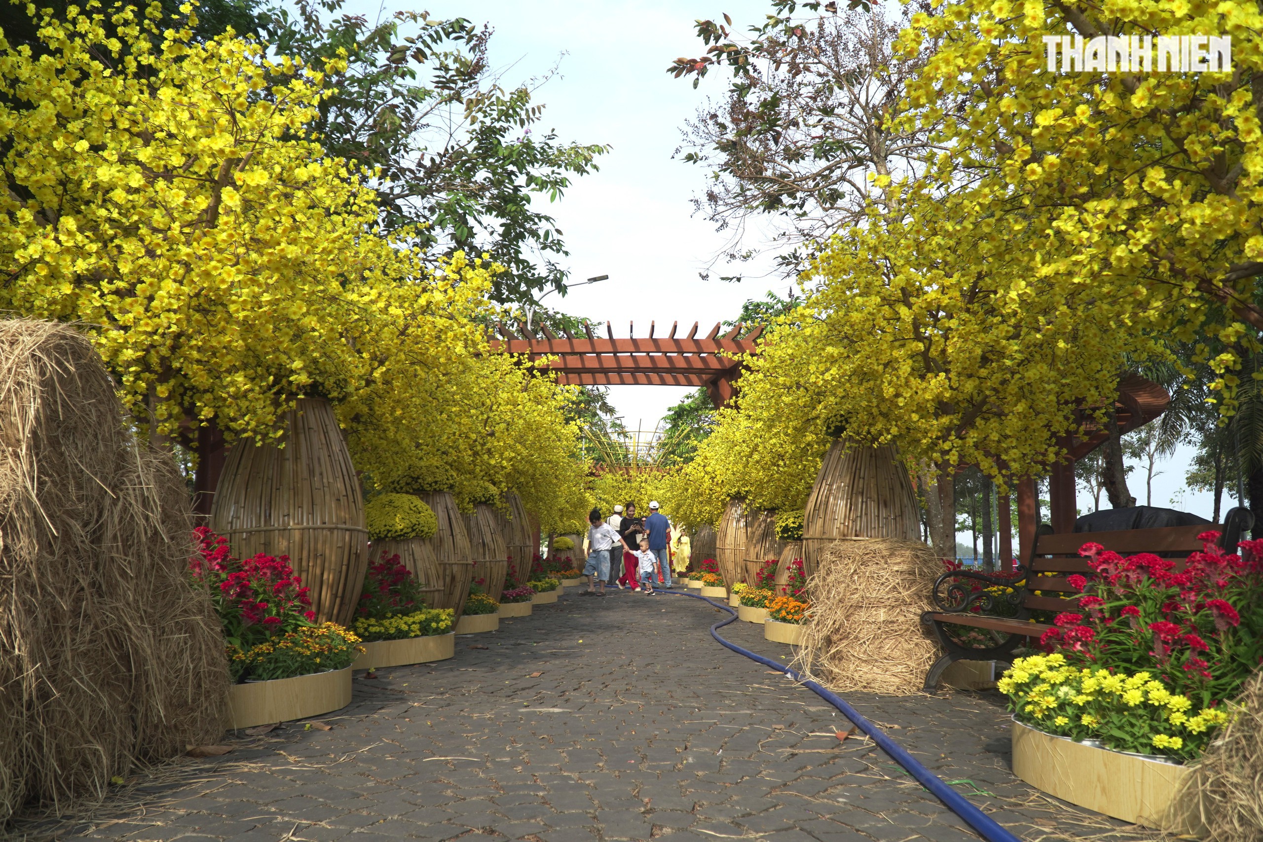 Chi&ecirc;m ngưỡng đại cảnh 'M&atilde; vương tụ lộc', 'B&aacute;t m&atilde; hưng thịnh' mừng Xu&acirc;n B&iacute;nh Ngọ 2026- Ảnh 5.