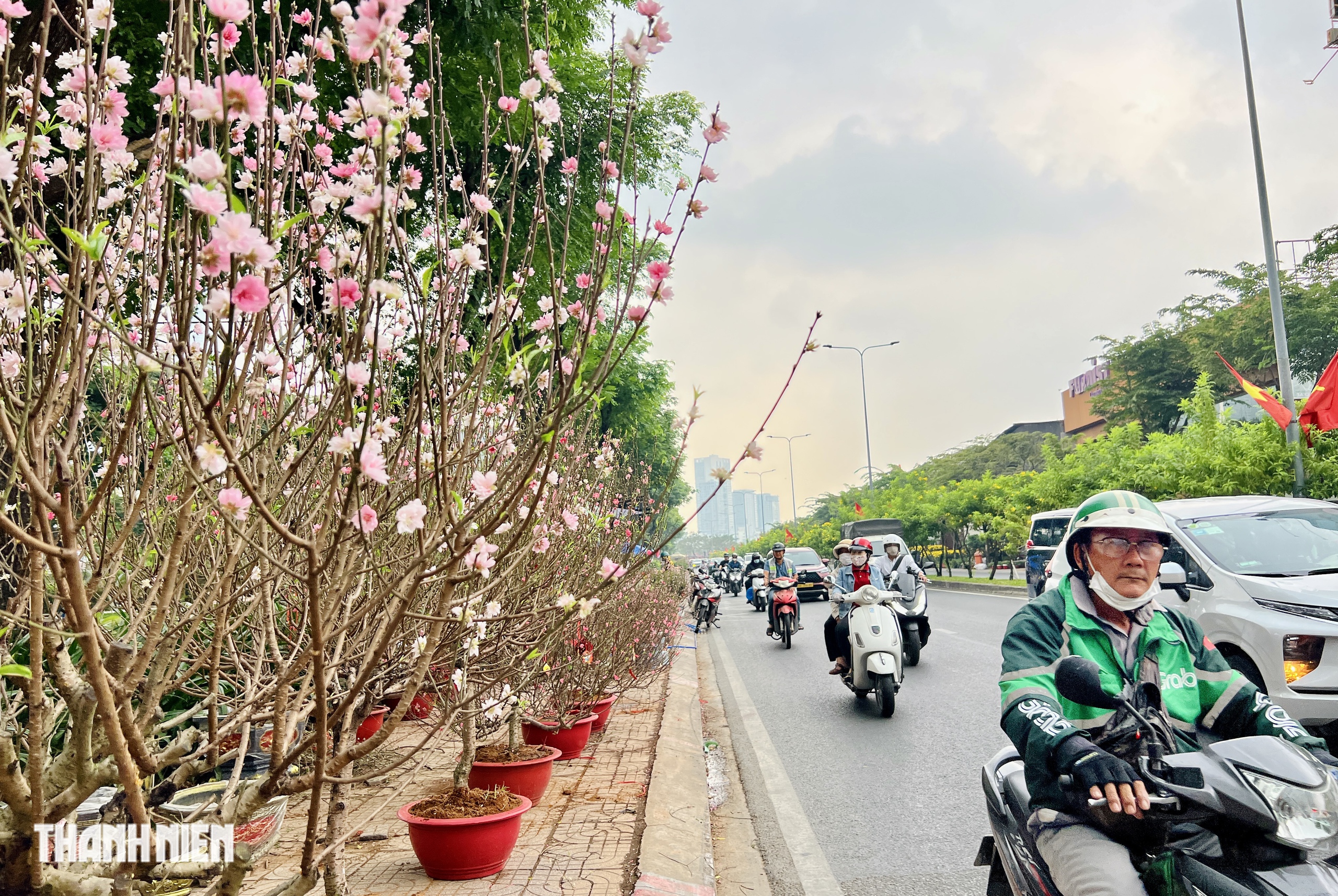 Hoa tết 2026 tr&agrave;n ngập đường phố TP.HCM: Người d&acirc;n th&iacute;ch l&agrave; 'gh&eacute; lựa' - Ảnh 13.