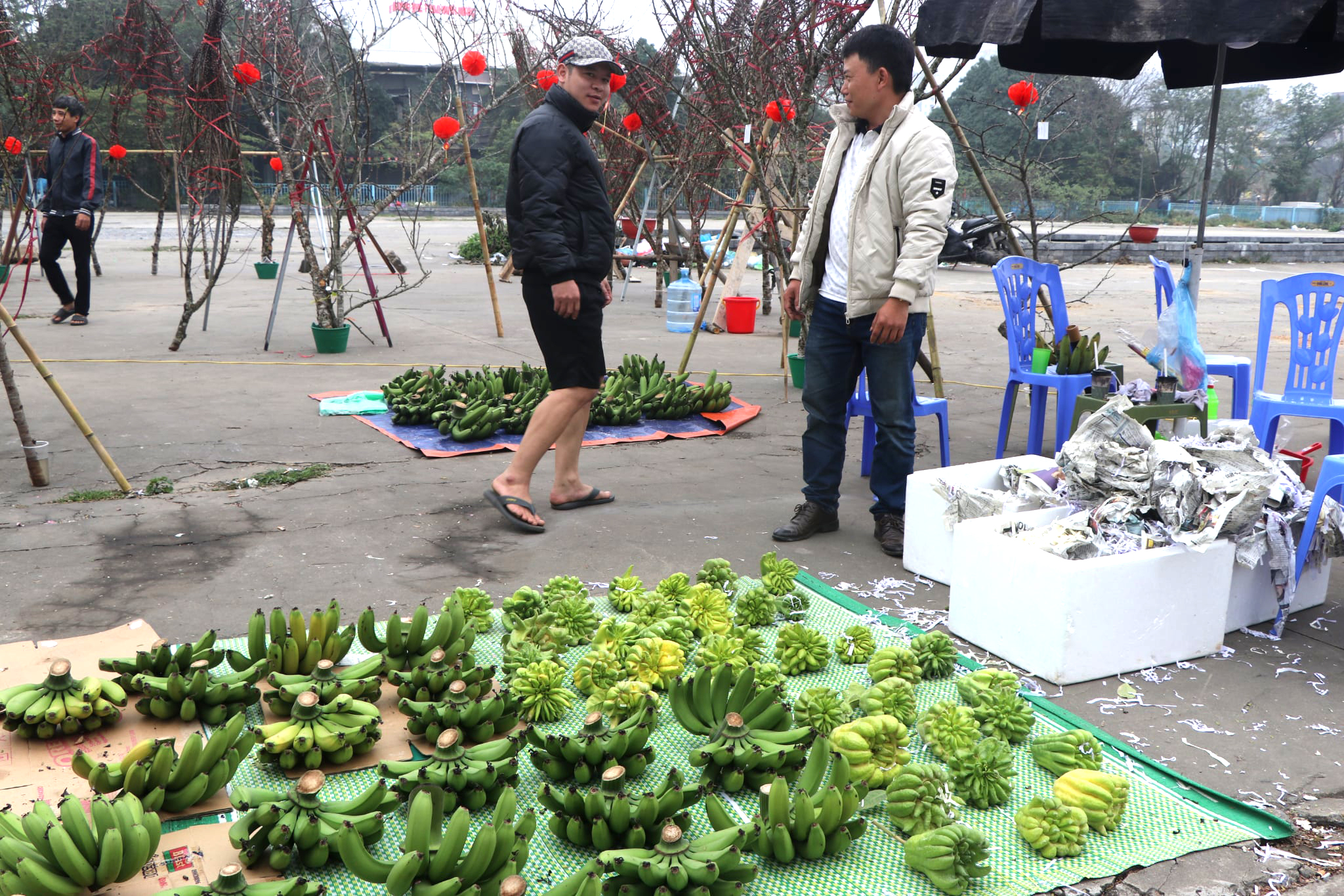 Chuối xanh v&agrave;i trăm ngh&igrave;n một nải, tiểu thương găm h&agrave;ng chờ kh&aacute;ch VIP 'chốt đơn'- Ảnh 6.