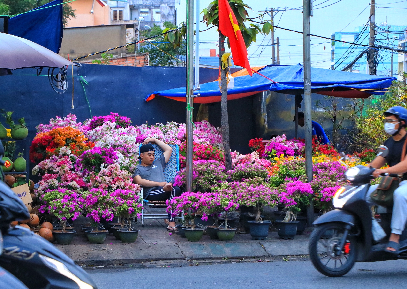 Nỗi niềm hoa tết ở TP.HCM: Kh&ocirc;ng h&eacute;t gi&aacute;, mong về miền T&acirc;y kịp đ&ecirc;m giao thừa - Ảnh 1.