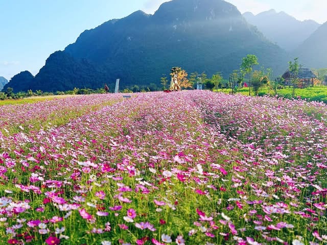 Th&uacute; vị điểm 'check-in' tết với 400 cuộn rơm tại Quảng Trị- Ảnh 7.