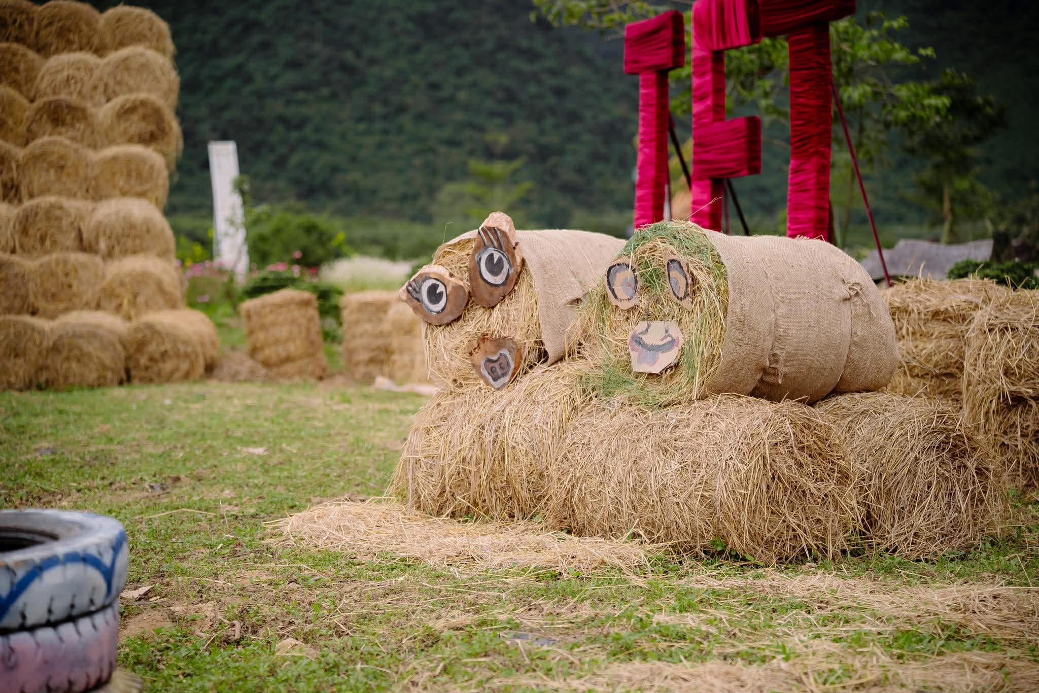 Thú vị điểm 'check-in' tết với 400 cuộn rơm tại Quảng Trị- Ảnh 5. Thú vị điểm 'check-in' tết với 400 cuộn rơm tại Quảng Trị- Ảnh 5.
