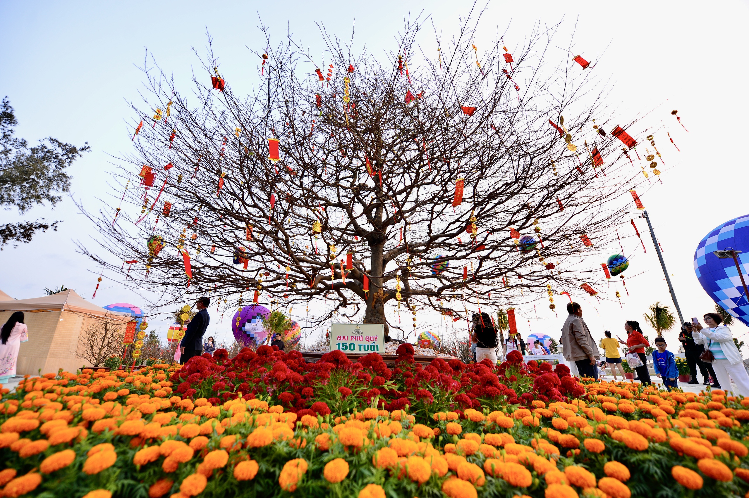 H&agrave;ng ngh&igrave;n người đổ về Cần Giờ vui hội xu&acirc;n chưa từng c&oacute; - Ảnh 2.