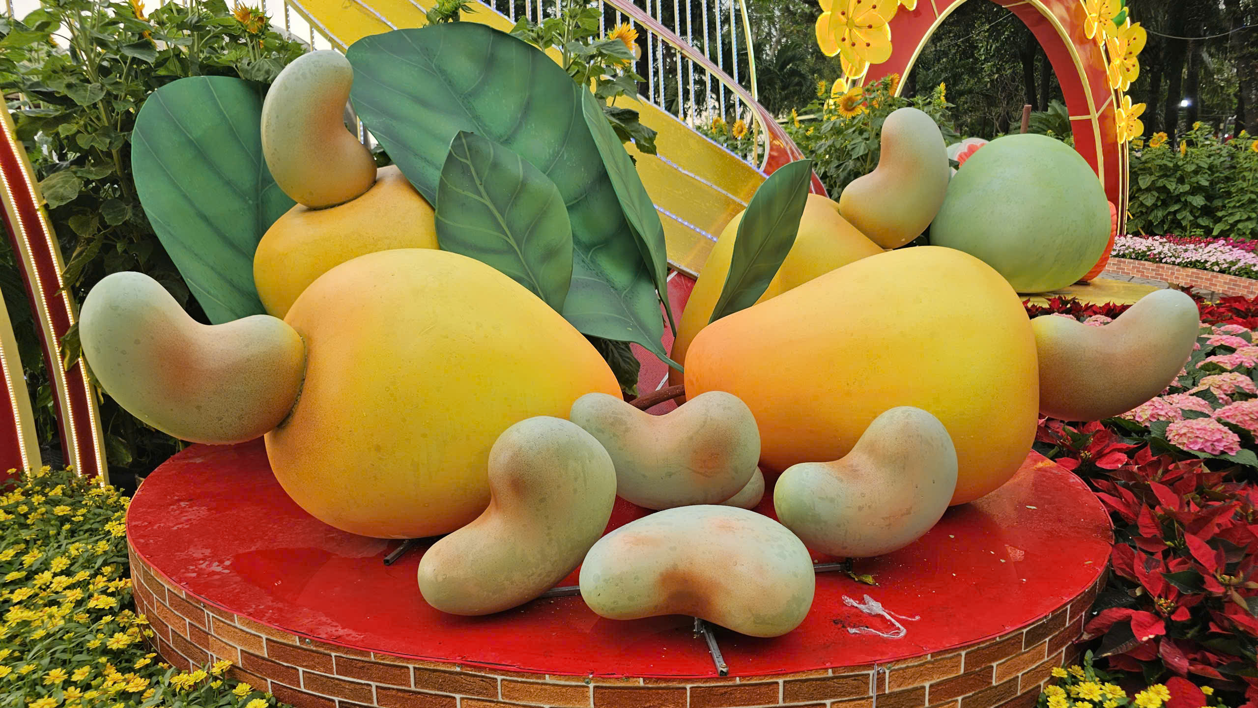 Tr&aacute;i điều B&igrave;nh Phước s&aacute;nh vai c&ugrave;ng bưởi T&acirc;n Triều tại đường hoa ven s&ocirc;ng Đồng Nai - Ảnh 5.