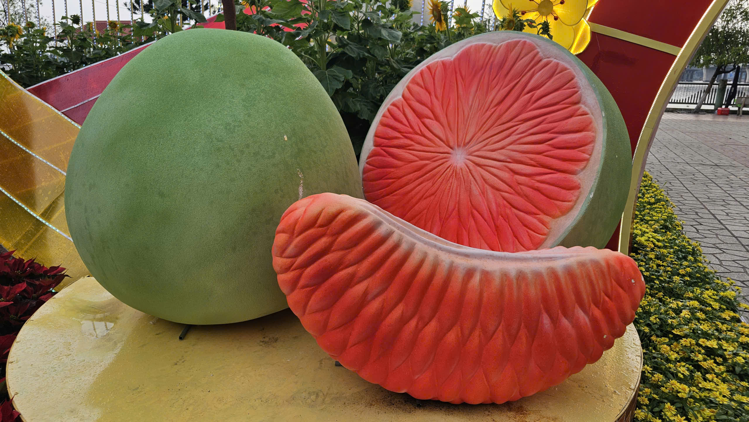 Tr&aacute;i điều B&igrave;nh Phước s&aacute;nh vai c&ugrave;ng bưởi T&acirc;n Triều tại đường hoa ven s&ocirc;ng Đồng Nai - Ảnh 6.