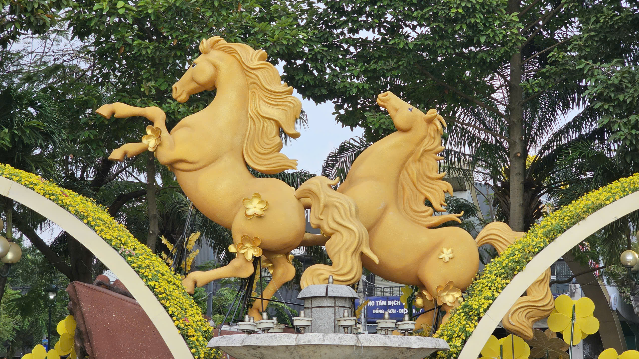 Tr&aacute;i điều B&igrave;nh Phước s&aacute;nh vai c&ugrave;ng bưởi T&acirc;n Triều tại đường hoa ven s&ocirc;ng Đồng Nai - Ảnh 3.