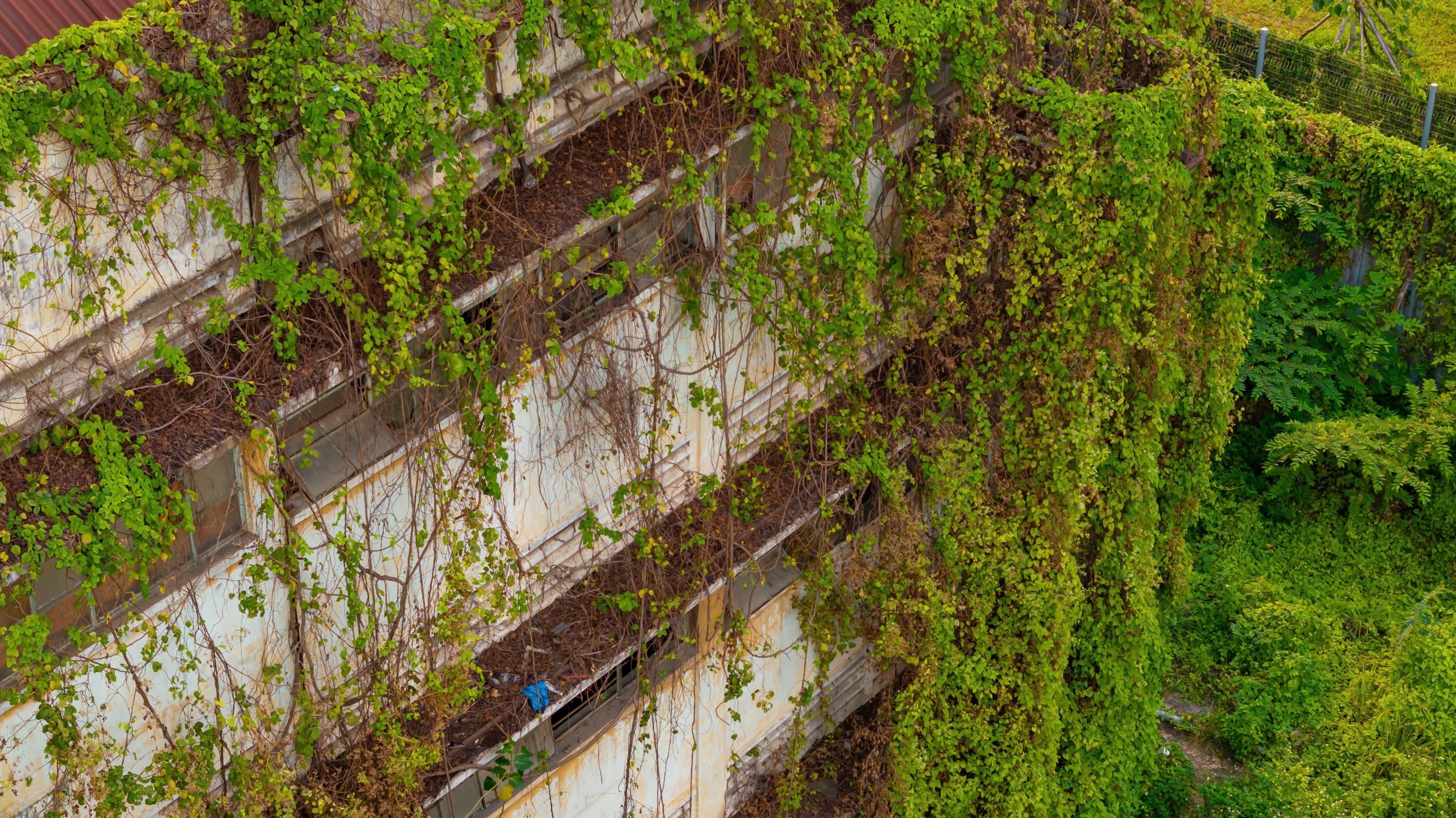 TP.HCM nhìn từ sông Sài Gòn - Kỳ 1: Lịch sử trăm năm bên dòng nước- Ảnh 12.