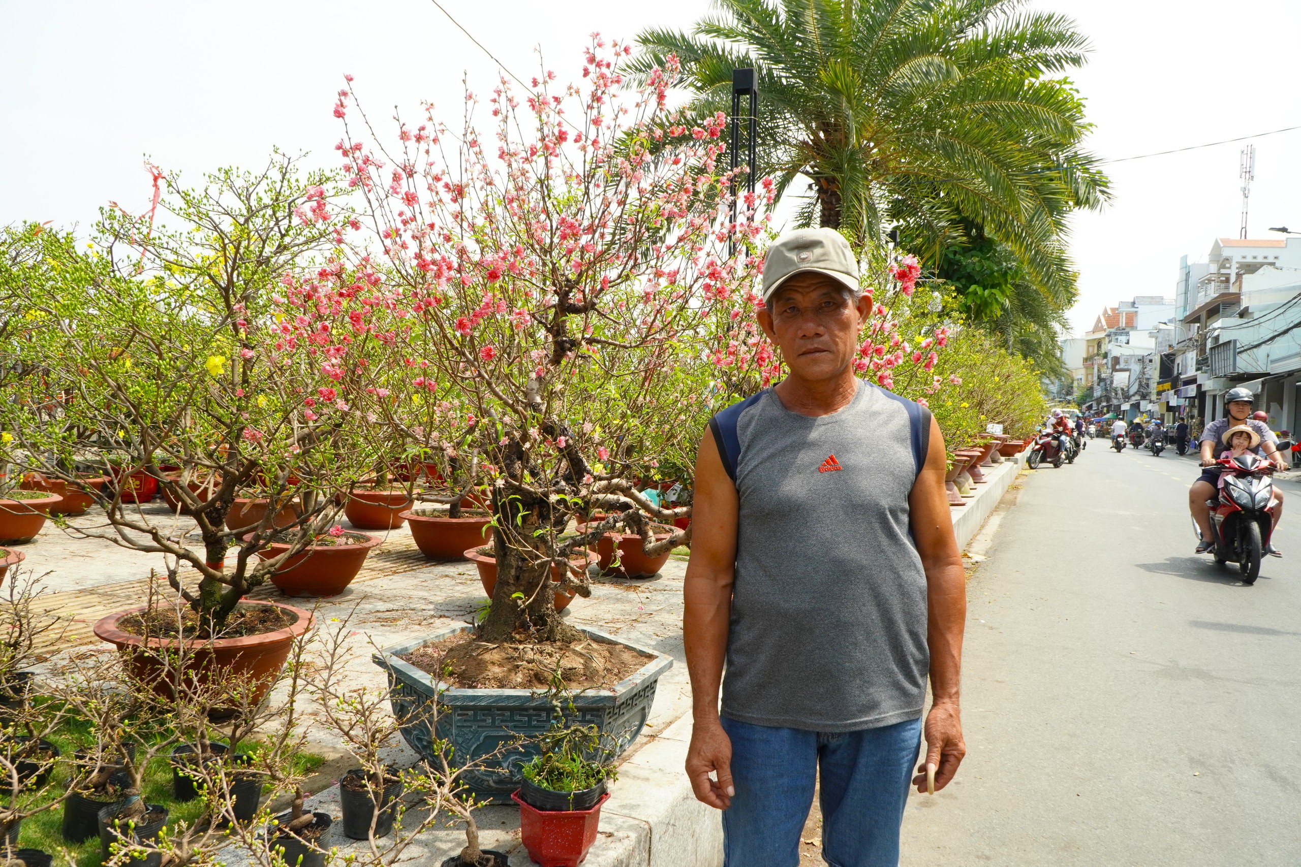 Bất ngờ gi&aacute; hoa đ&agrave;o ' độc nhất ' ở chợ hoa Cần Thơ Tết Nguy&ecirc;n đ&aacute;n 2026 - Ảnh 2.