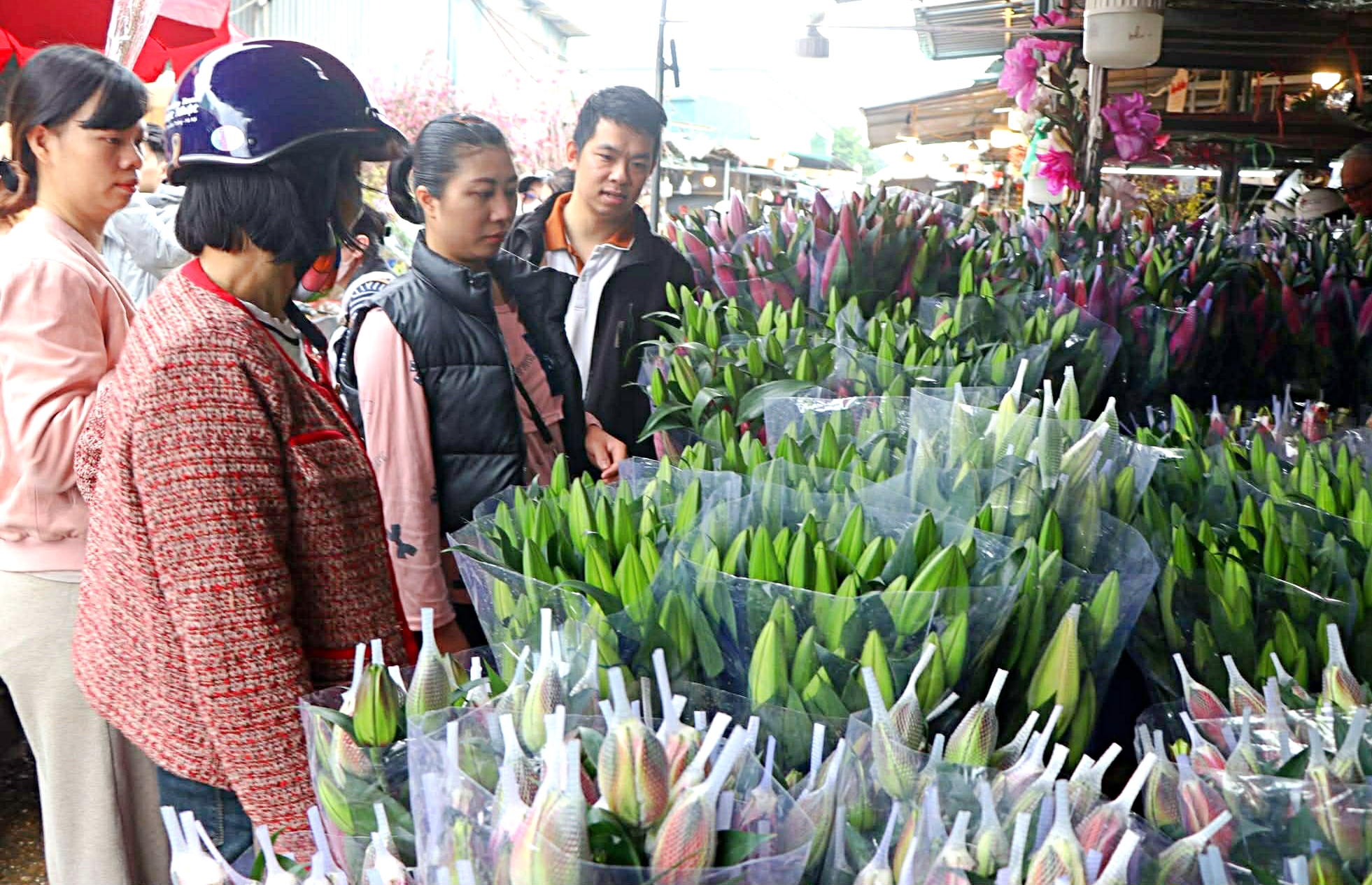 Hoa ly &lsquo;nhảy gi&aacute;&rsquo; , cao gấp 3 ng&agrave;y thường vẫn 'ch&aacute;y h&agrave;ng'- Ảnh 2.