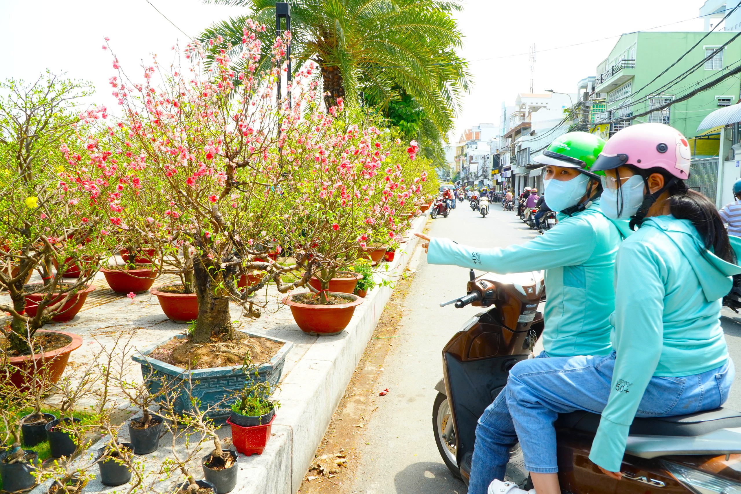 Bất ngờ gi&aacute; hoa đ&agrave;o ' độc nhất ' ở chợ hoa Cần Thơ Tết Nguy&ecirc;n đ&aacute;n 2026 - Ảnh 4.