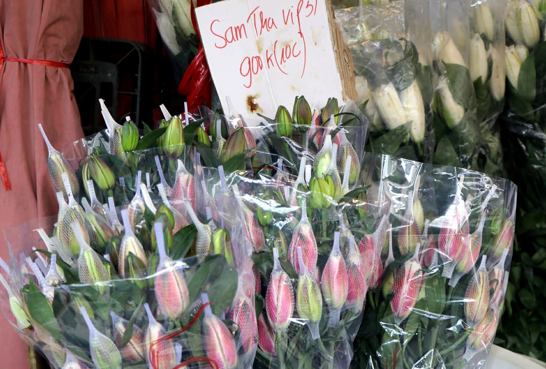 Hoa ly &lsquo;nhảy gi&aacute;&rsquo; , cao gấp 3 ng&agrave;y thường vẫn 'ch&aacute;y h&agrave;ng'- Ảnh 3.