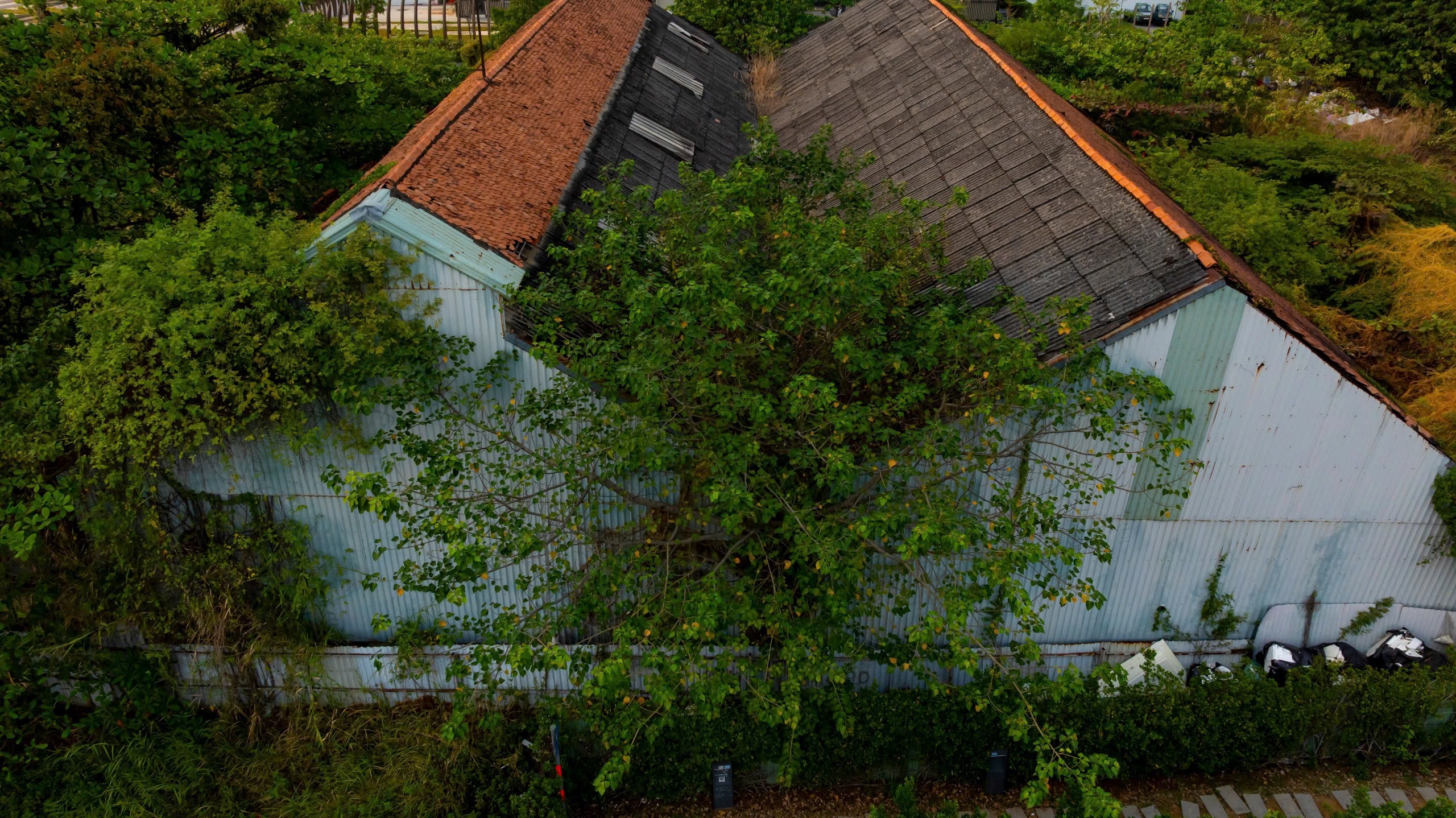 TP.HCM nhìn từ sông Sài Gòn - Kỳ 1: Lịch sử trăm năm bên dòng nước- Ảnh 9.