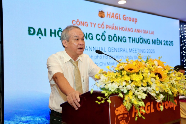 Hoàng Anh Gia Lai của bầu Đức bất ngờ vào top 500 công ty tốt nhất châuÁ - Ảnh 2.