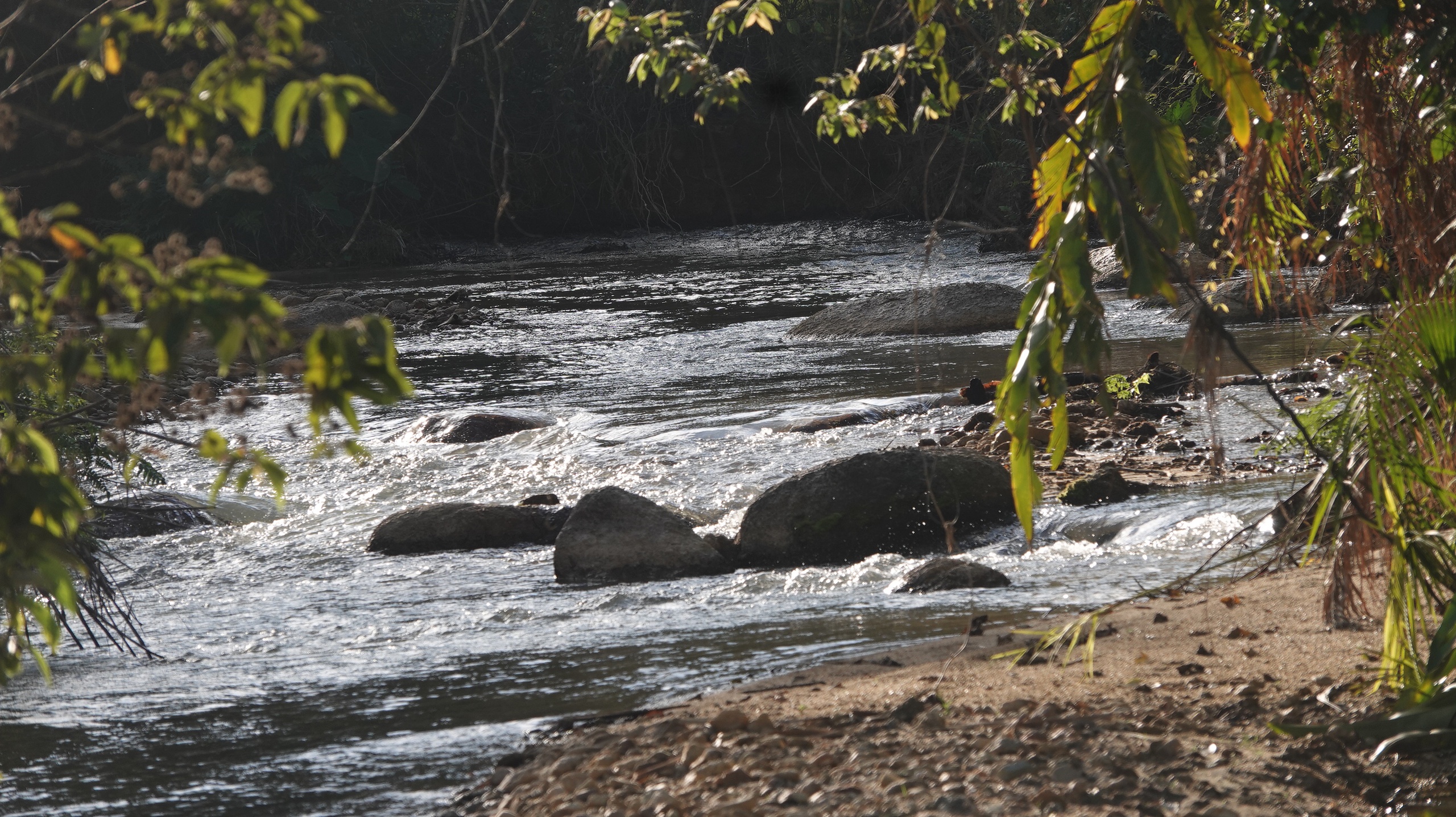 Tết ở ‘xứ mưa 9 tháng’, đồn biên giới có dân sau 21 năm- Ảnh 3.