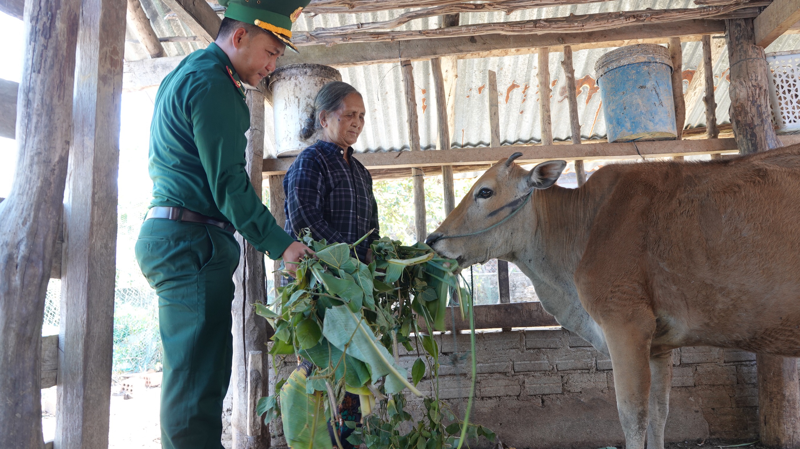 Tết ấm biên cương ở Quảng Ngãi, gieo 'hạt giống' nơi Dục Nông hút gió- Ảnh 4.