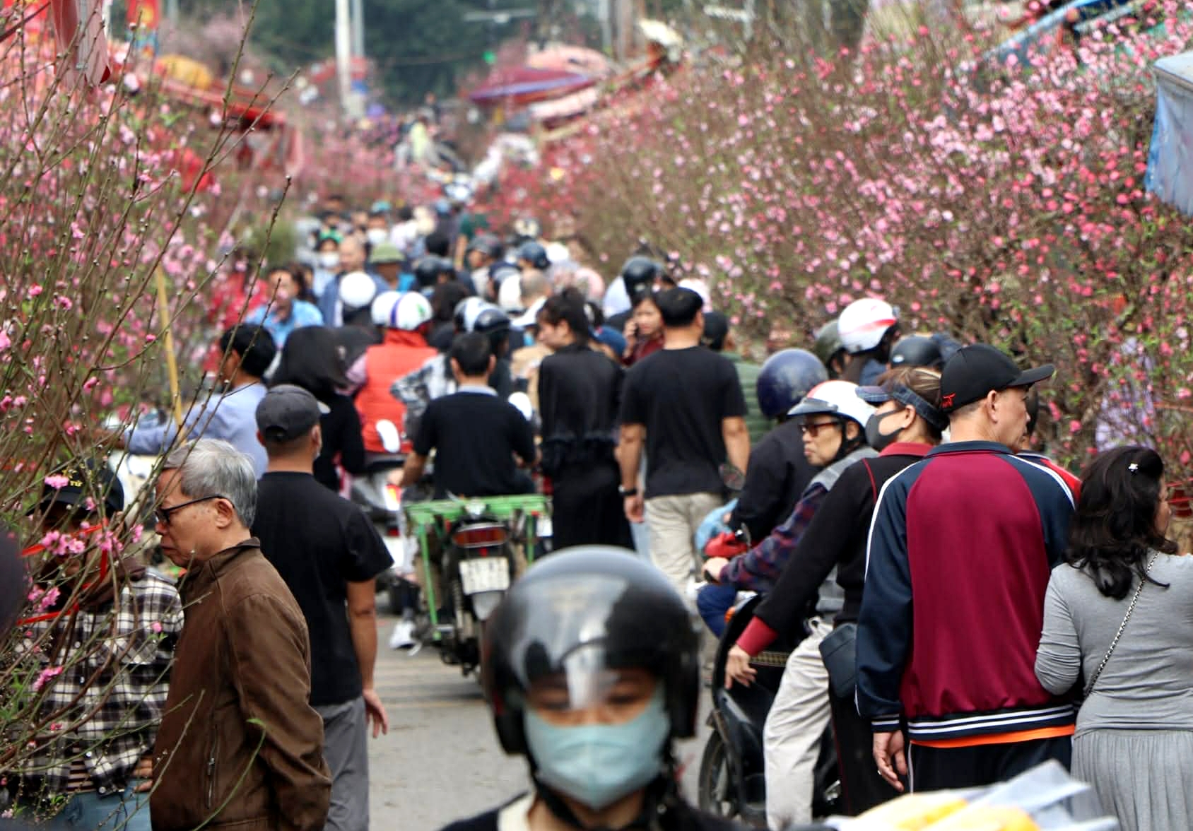 Hoa ly &lsquo;nhảy gi&aacute;&rsquo; , cao gấp 3 ng&agrave;y thường vẫn 'ch&aacute;y h&agrave;ng'- Ảnh 1.