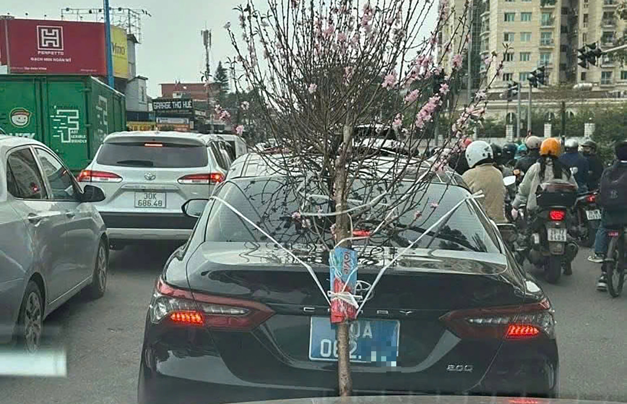 Xe biển xanh buộc cành đào che lấp biển số bị xử lý - Ảnh 1.
